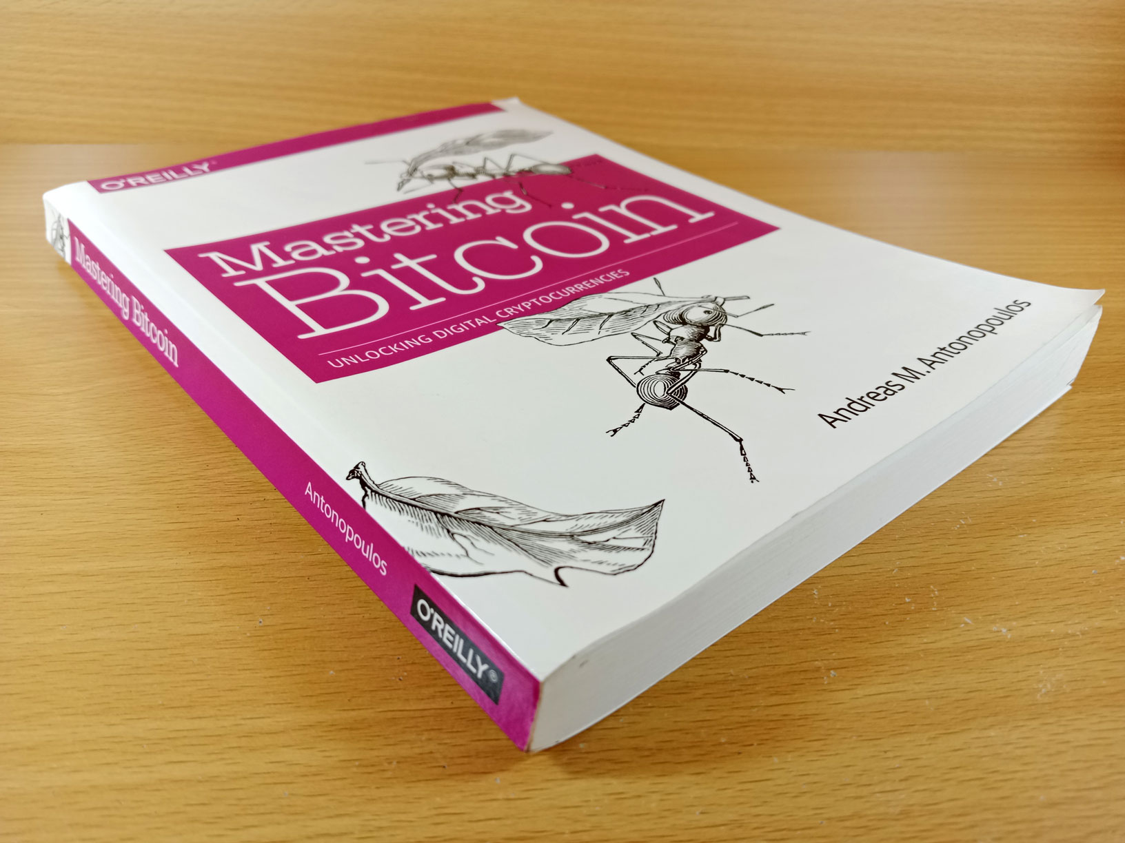 Mastering Bitcoin, Unlocking Digital Cryptocurrencies