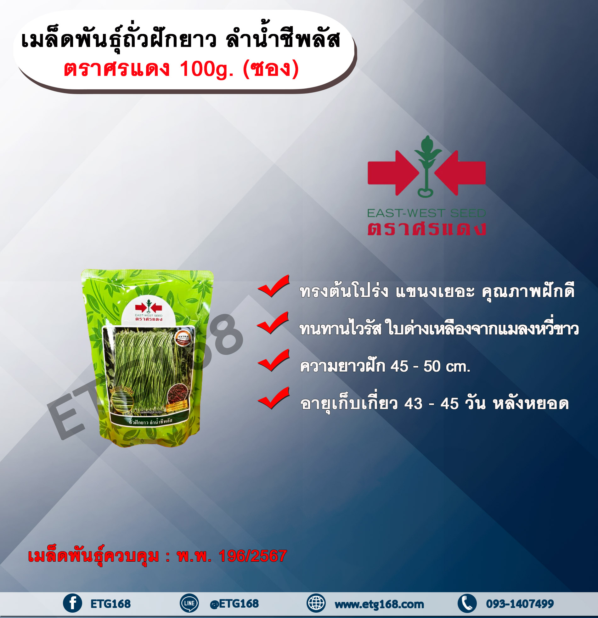 เมล็ดพันธุ์ถั่วฝักยาว ลำน้ำชีพลัส ตราศรแดง 100g. (ซอง) เมล็ดพันธุ์ เมล็ดพันธุ์ผัก เมล็ดพันธุ์พืช เมล็ดพันธุ์ถั่วฝักยาว ทรงต้นโปร่ง แขนงเยอะ คุณภาพฝักดี ทนทานไวรัส ใบด่างเหลืองจากแมลงหวี่ขาว ผลผลิตสูงเมล็ดพันธุ์ควบคุม ศรแดง