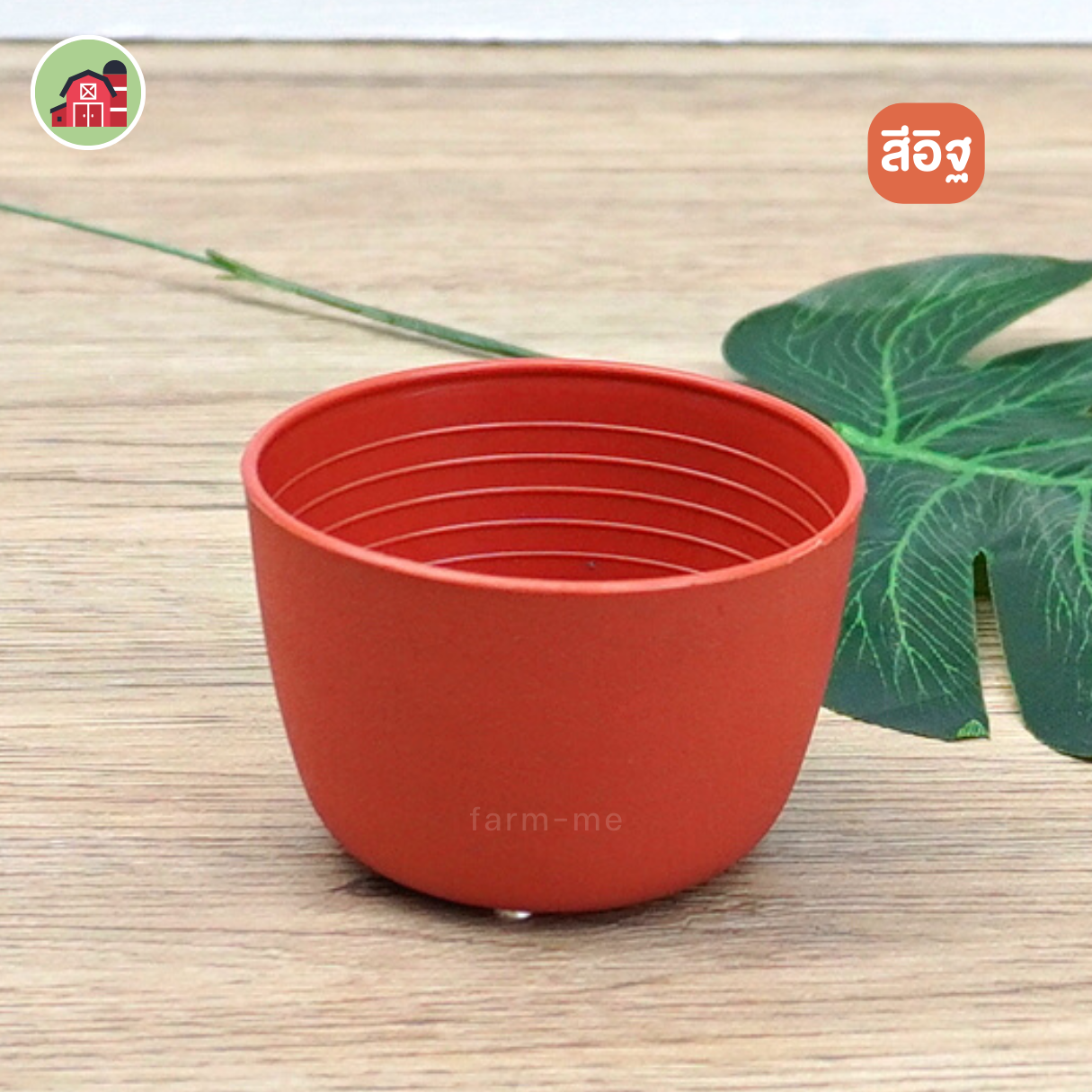 กระถางแคคตัส กลม ขนาด 2.5 นิ้ว แพ็ค50ใบ