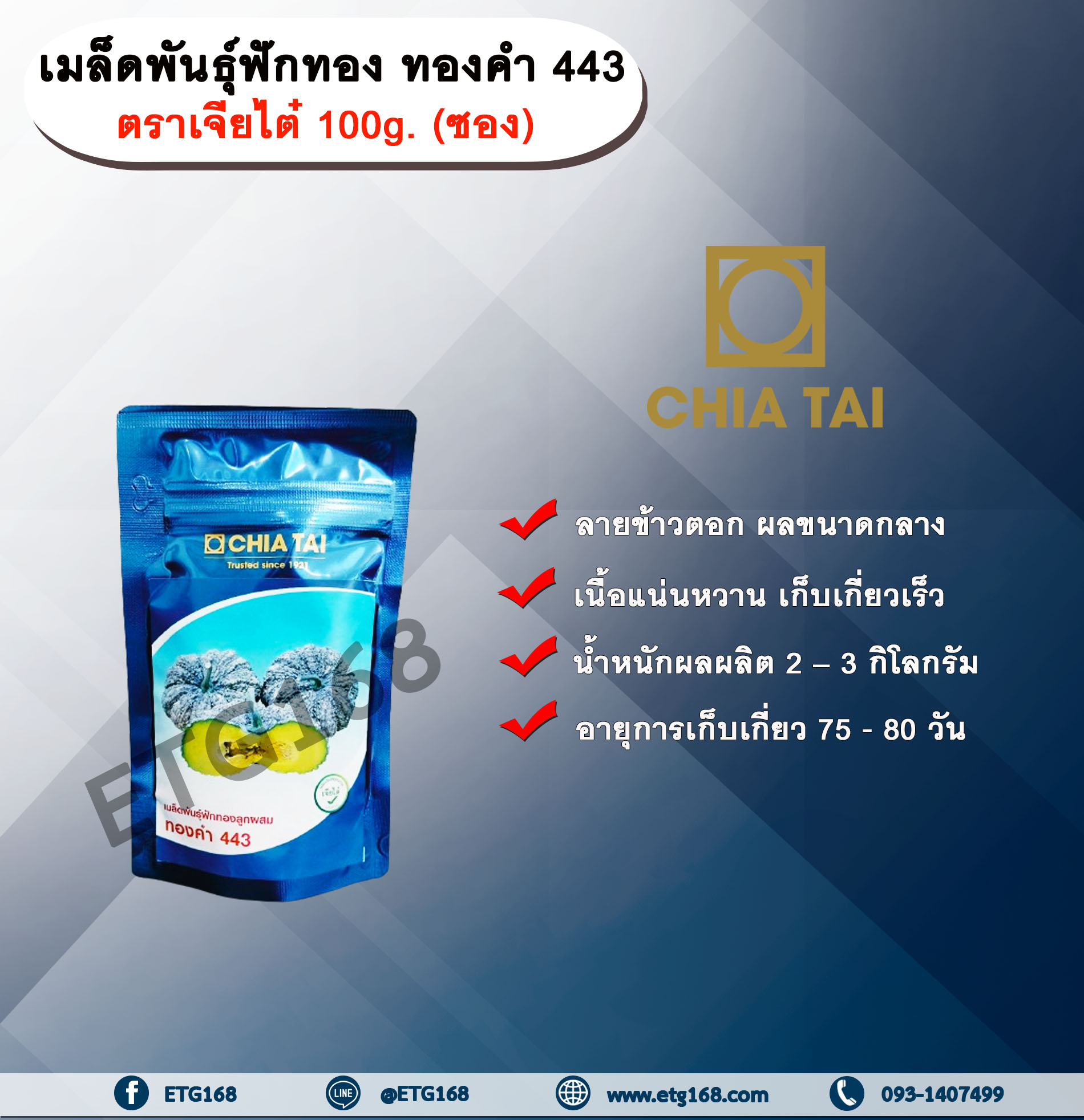 เมล็ดพันธุ์ฟักทอง ทองคำ 443 ตราเจียไต๋ 100g. (ซอง) เมล็ดพันธุ์ เมล็ดพันธุ์ผัก เมล็ดพันธุ์พืช เมล็ดพันธุ์ฟักทอง
