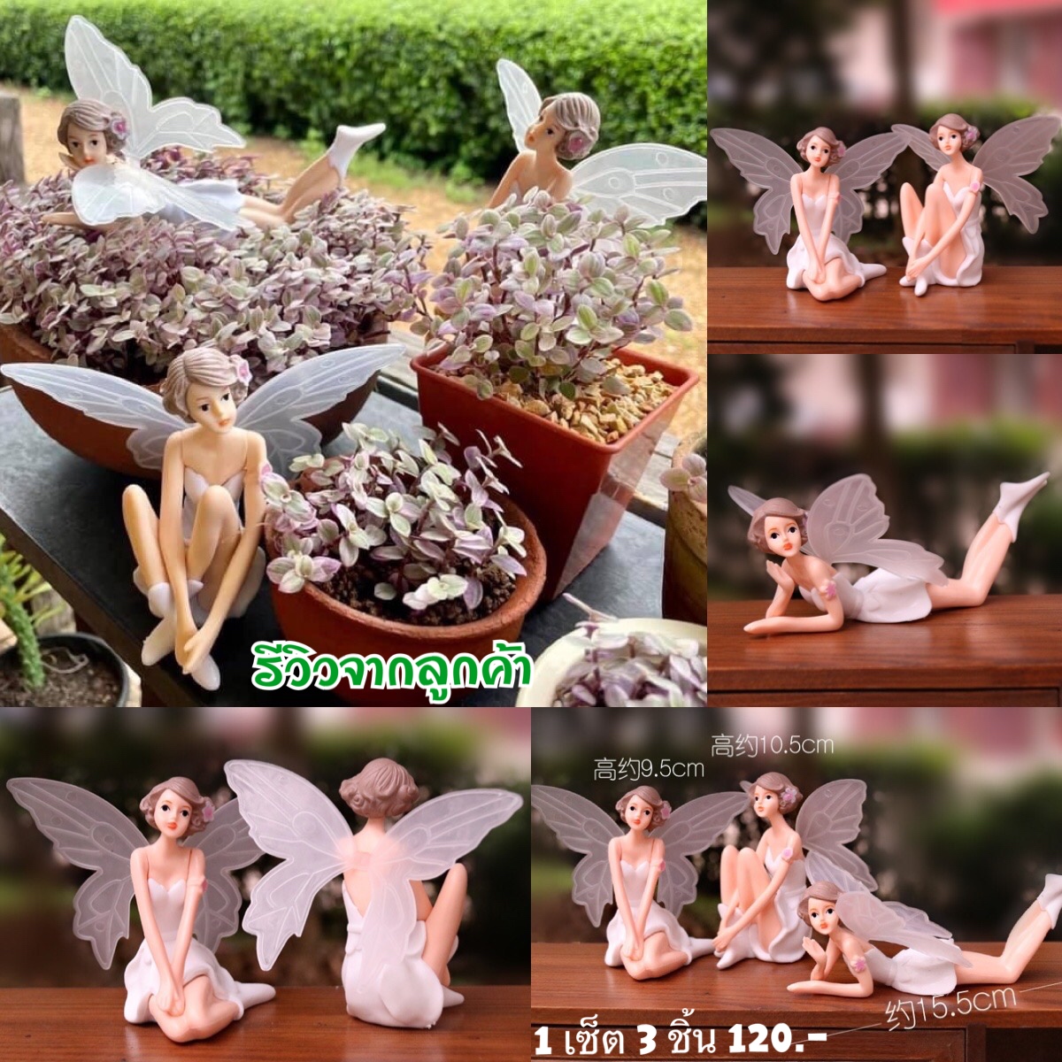 ทิงเจอร์เบล