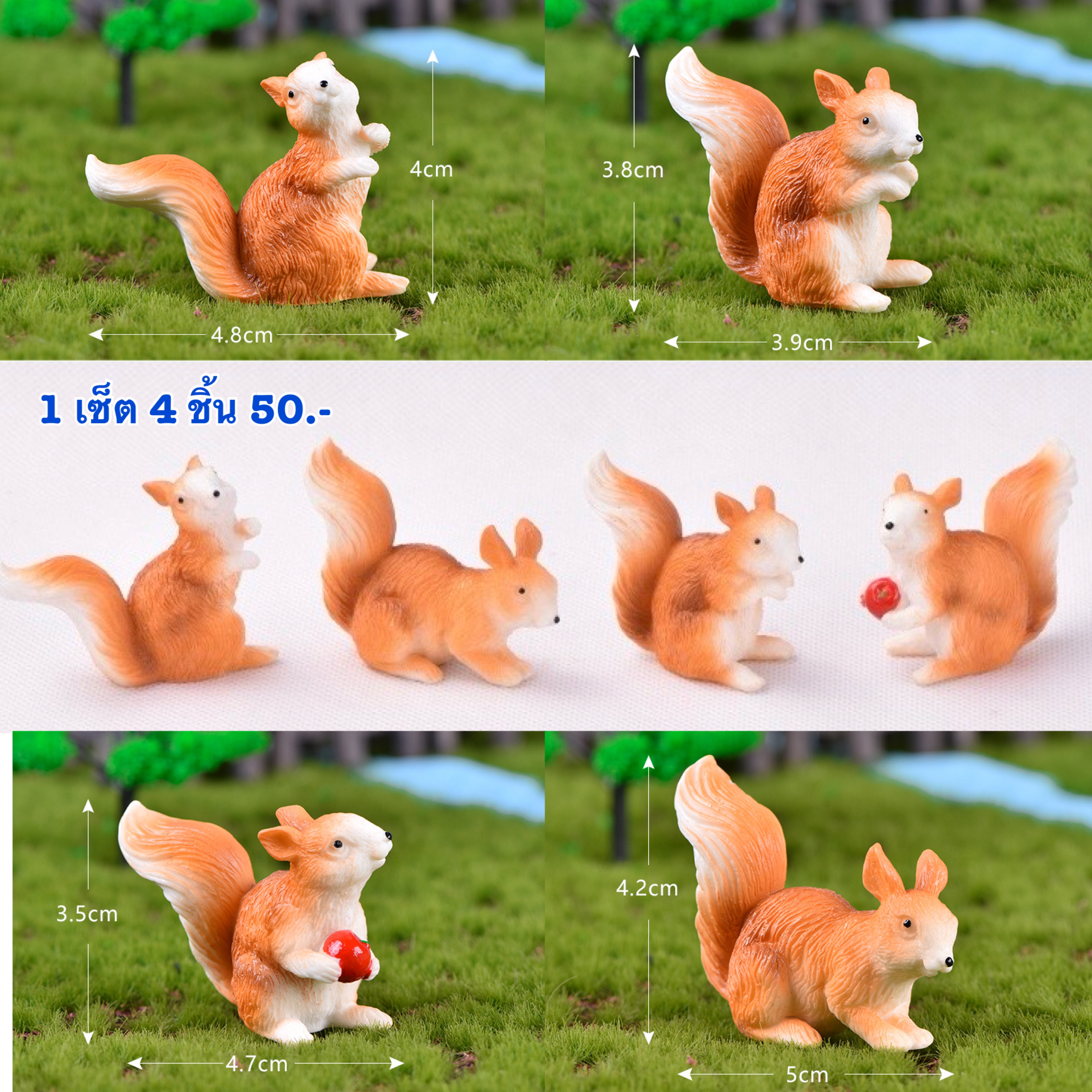 กระรอกเซ็ต 4 ชิ้น