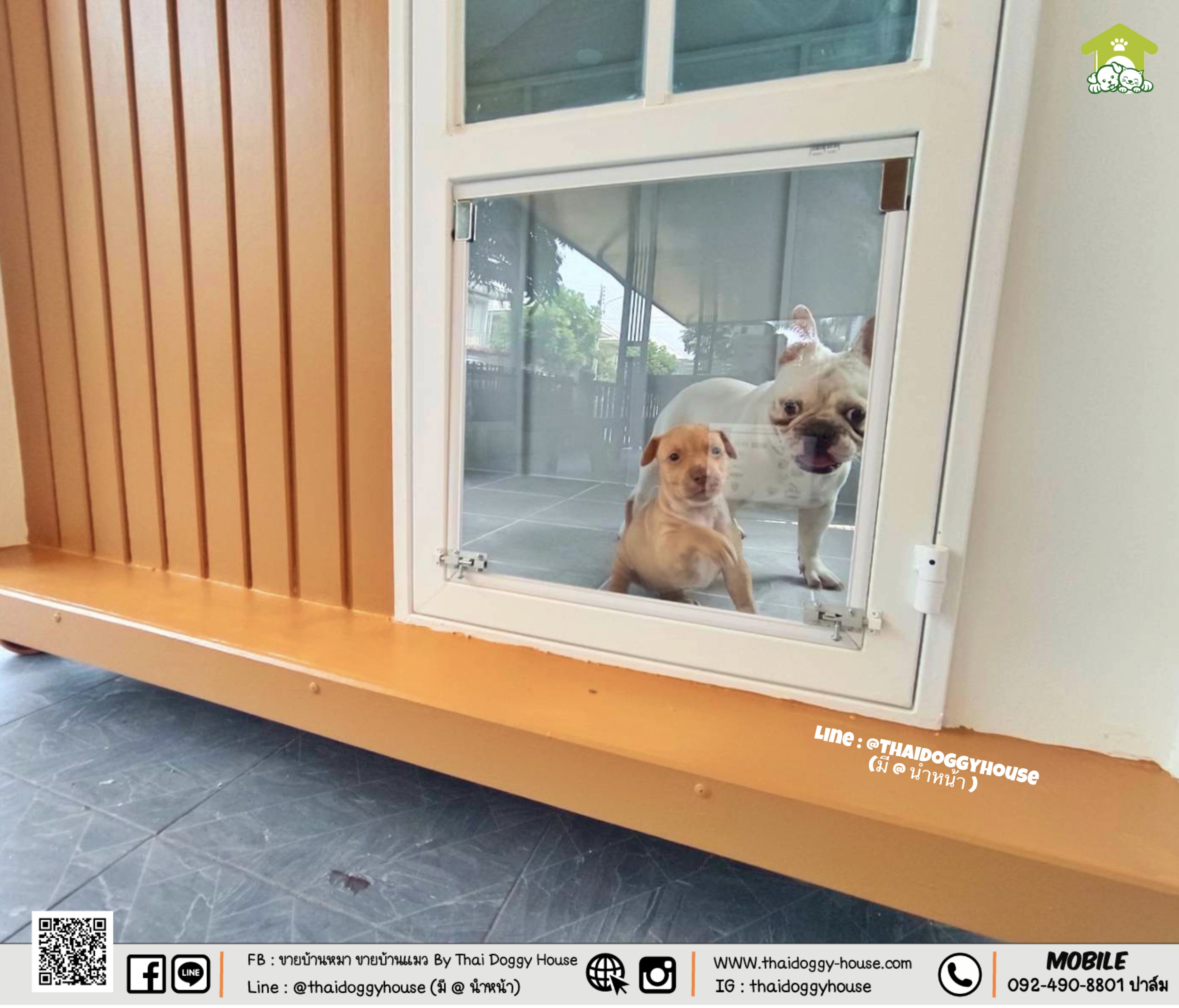 𝗠𝗜𝗡𝗜𝗠𝗔𝗟 𝗦𝗧𝗬𝗟𝗘 บ้านหมา บ้านแมว " 𝐓𝐇𝐀𝐈 𝐃𝐎𝐆𝐆𝐘 𝐇𝐎USE