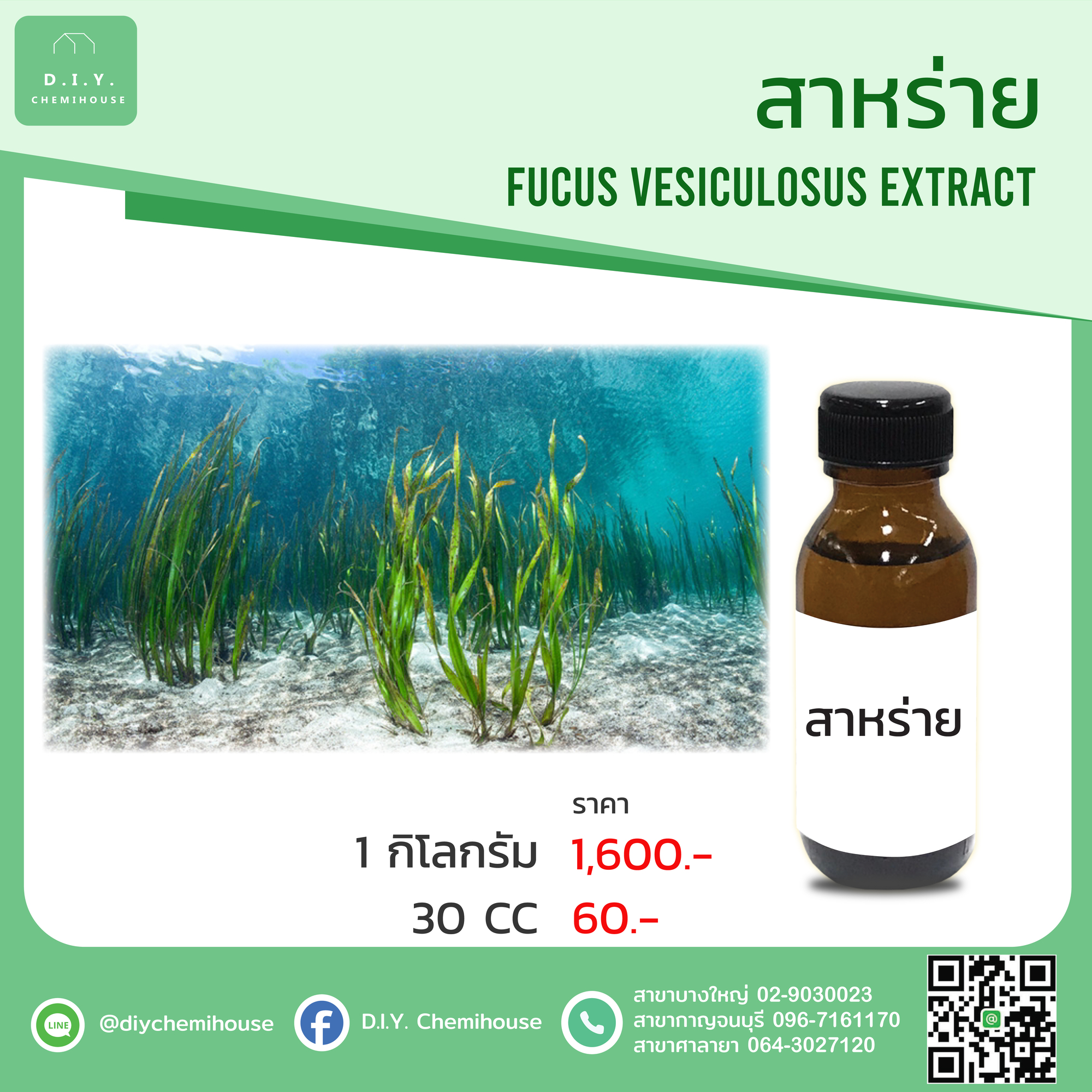สารสกัดสาหร่ายทะเล