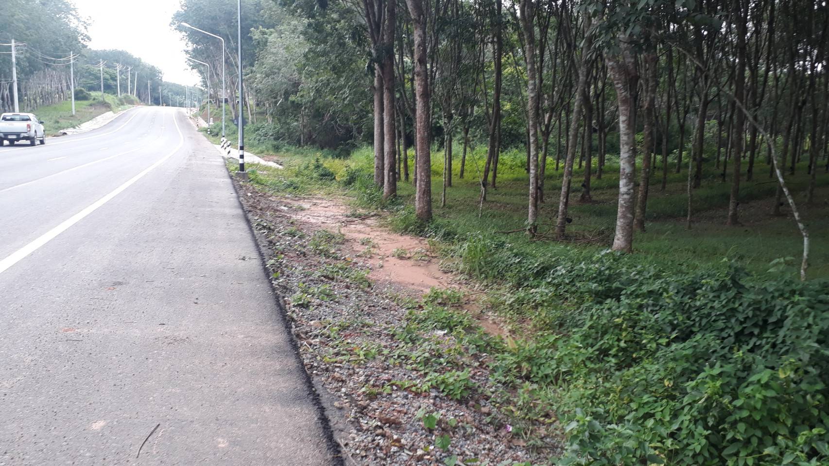 ที่ดินสวนยางติดถนน 4ไร่กว่า ทุ่งสง นครศรีธรรมราช