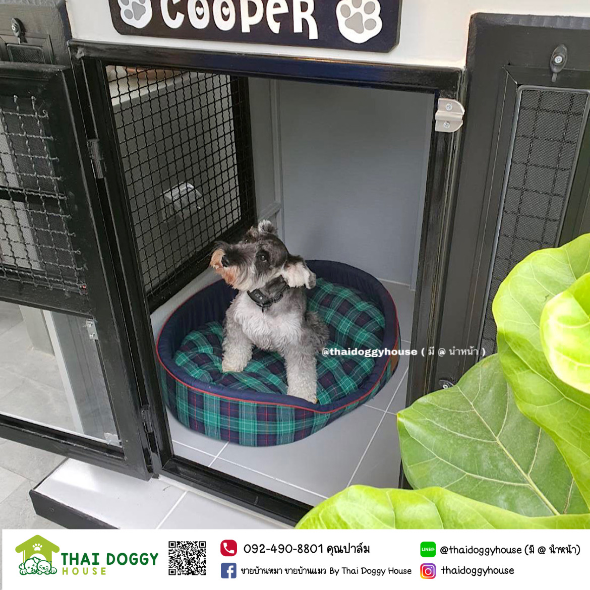 บ้านหมา บ้านแมว BOX STYLE ดีไซน์ทันสมัย แบบขายดี งบเบาๆ