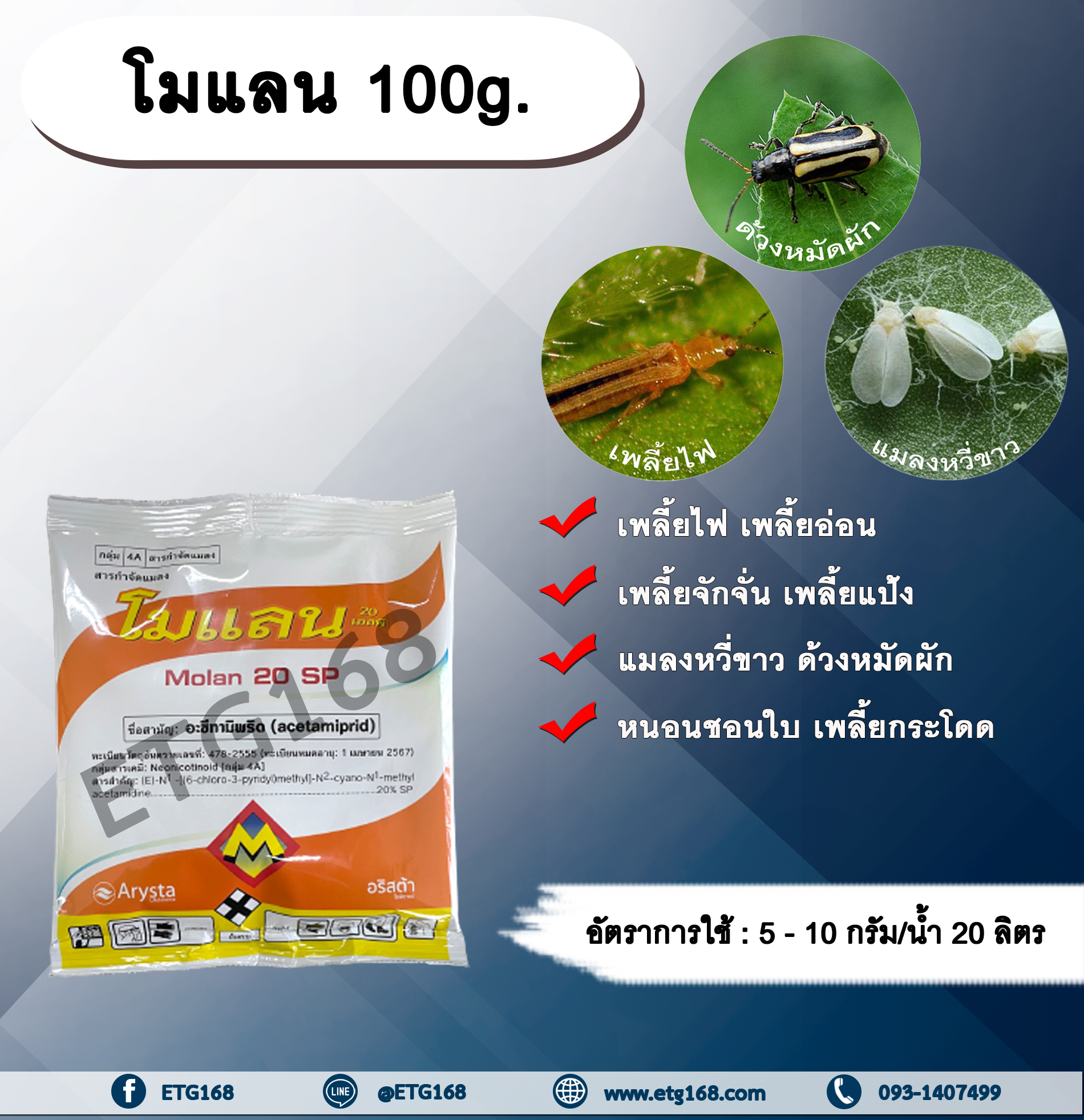 โมแลน 100g. อะซีทามิพริด อะเซทามิพริด สารกำจัดแมลง ดูดซึม กำจัด เพลี้ยไฟ แมลงหวี่ขาว