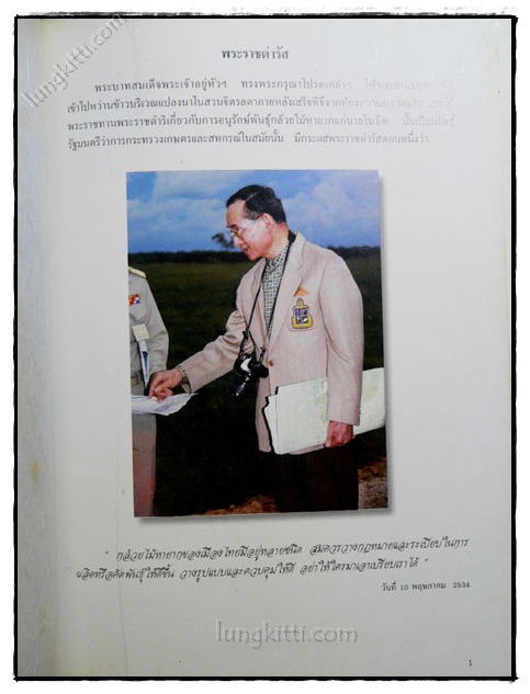 สวนพฤกษศาสตร์สมเด็จพระนางเจ้าสิริกิติ์ กล้วยไม้ไทย 023519 (1)