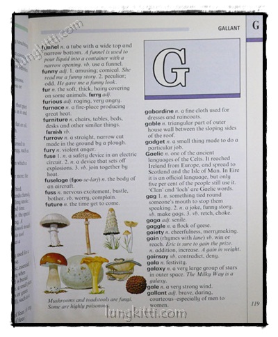 Illustrated Dictionary 021883 (1)