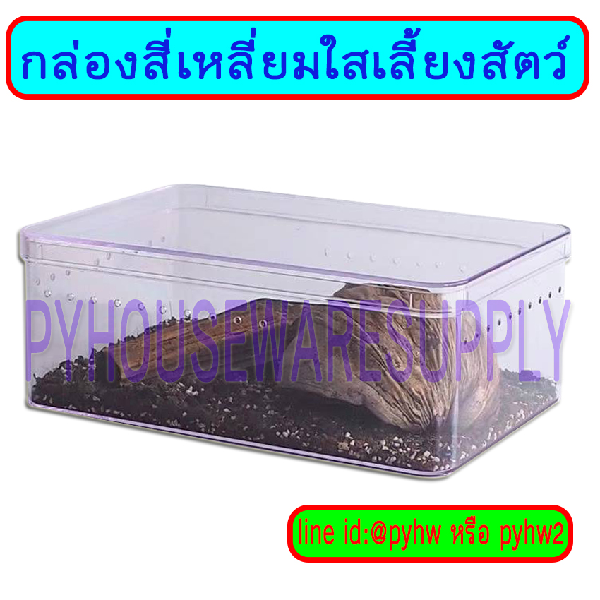 กล่องสี่เหลียมใสเจาะรู เลี้ยงสัตว์แปลก เลี้ยงแมลง เลี้ยงสัตว์ทดลอง ขนาดกล่องใสใหญ่