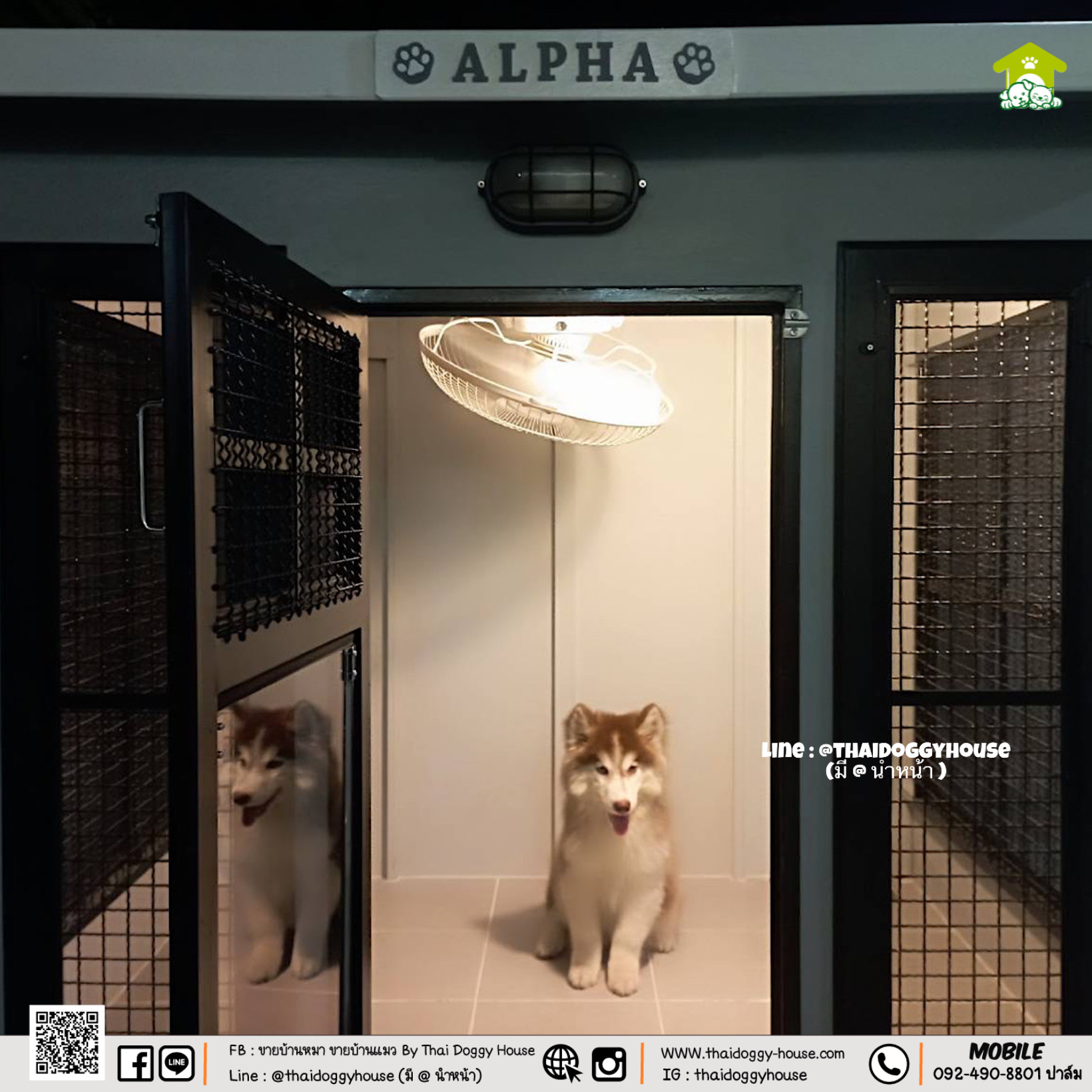 บ้านหมา บ้านแมว " 𝐁𝐎𝐗 𝐒𝐓𝐘𝐋𝐄 𝐁𝐘 𝐓𝐇𝐀𝐈 𝐃𝐎𝐆𝐆𝐘 𝐇𝐎𝐔𝐒𝐄 "