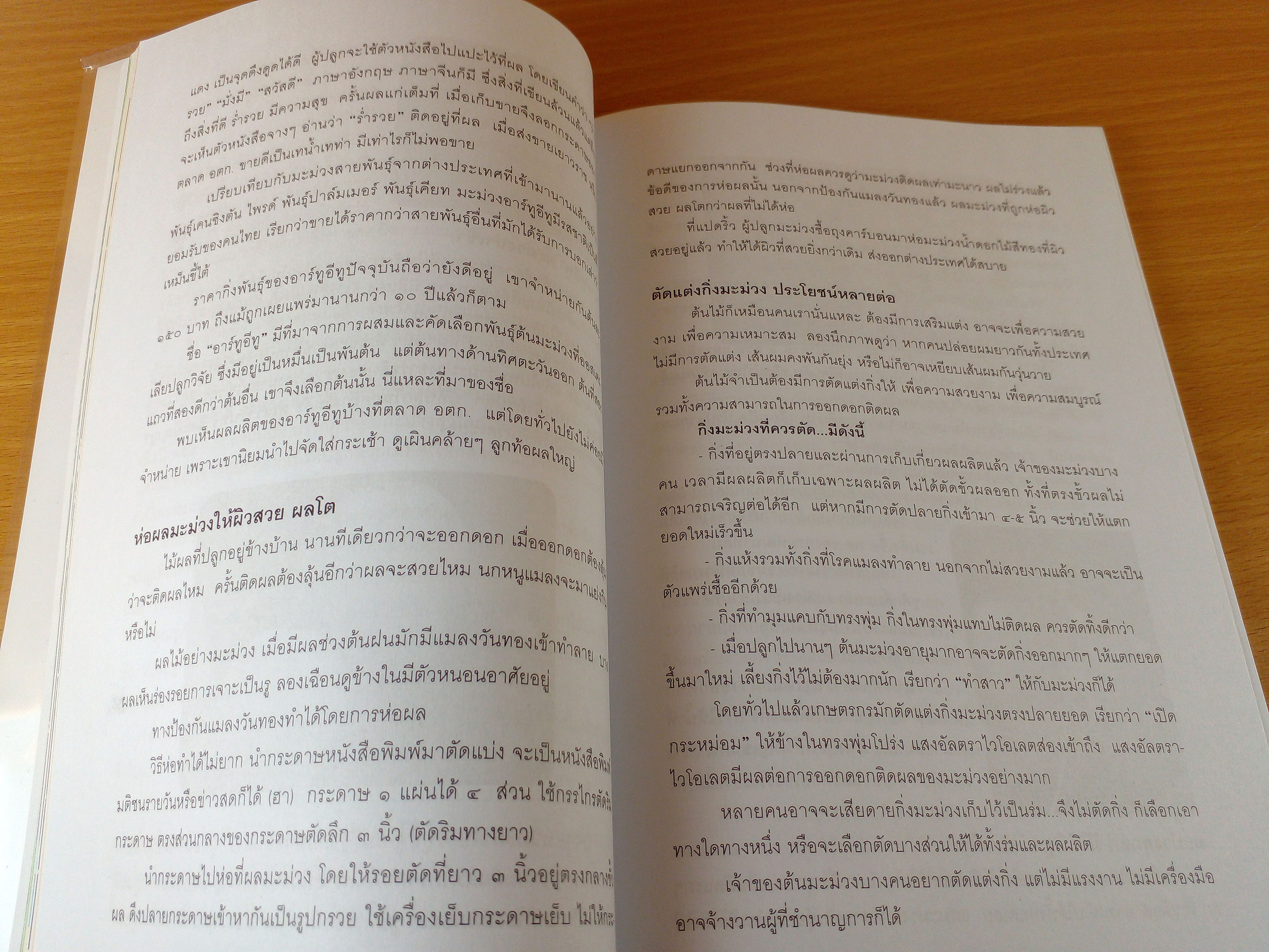 ไม้ผลรอบบ้าน