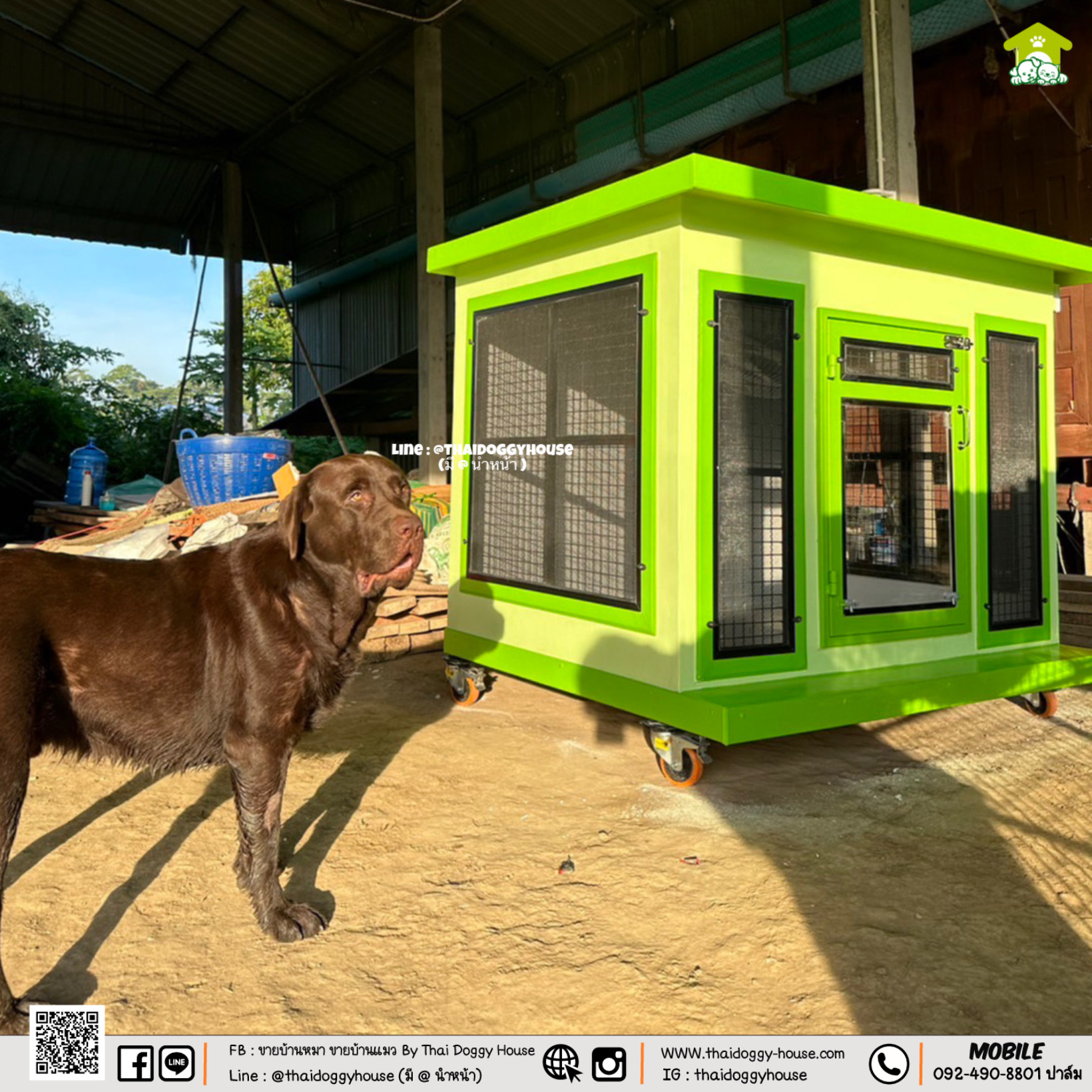 บ้านหมา บ้านแมว " 𝐁𝐎𝐗 𝐒𝐓𝐘𝐋𝐄 𝐁𝐘 𝐓𝐇𝐀𝐈 𝐃𝐎𝐆𝐆𝐘 𝐇𝐎𝐔𝐒𝐄 "