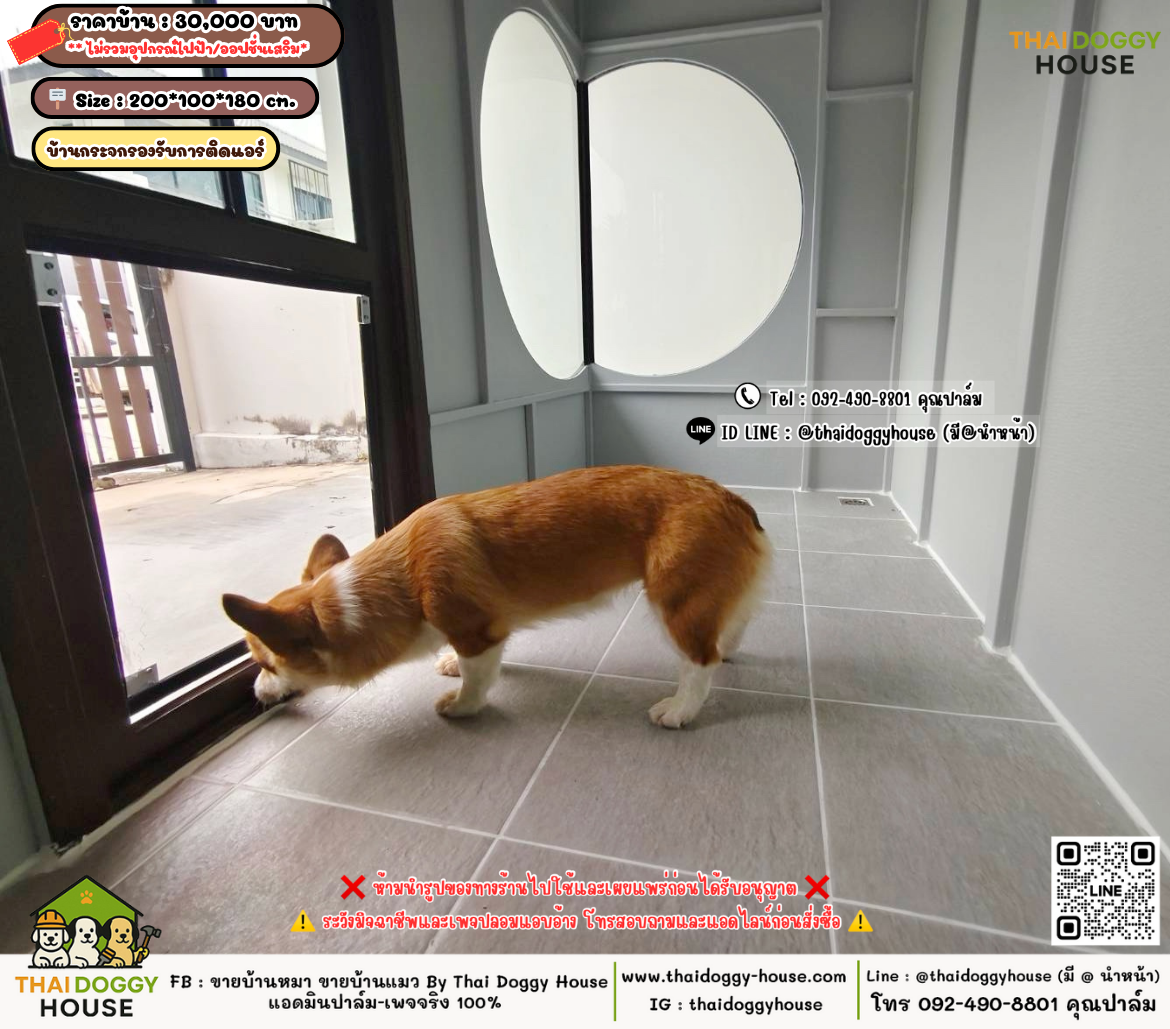 บ้านหมา บ้านแมว 𝐓𝐡𝐚𝐢 𝐝𝐨𝐠𝐠𝐲 𝐡𝐨𝐮𝐬𝗲