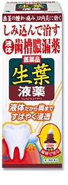 Kobayashi Leaf Liquid Drugs เอสเซ้นต์แก้อาการในโรคเหงือกอักเสบ รำมะนาด เลือดออกตามไรฟัน เหงือกบวมและมีลมหายใจเหม็นมีกลิ่นปากจากโรคเหงือกอักเสบ