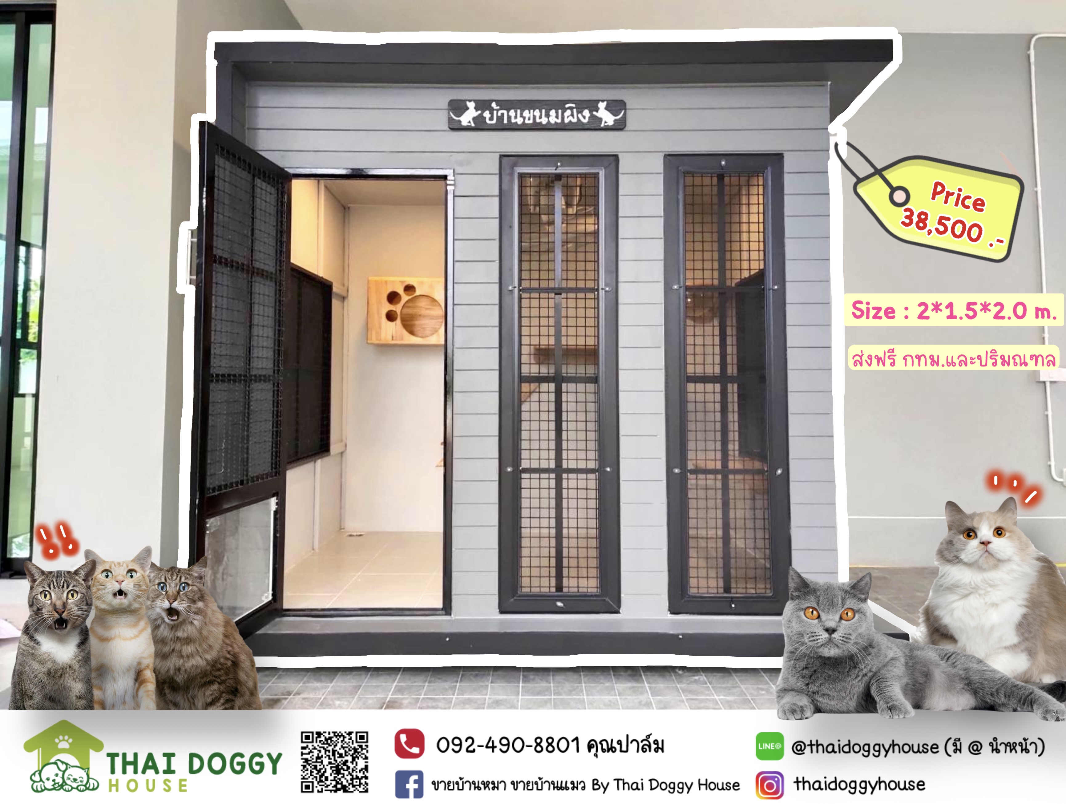 บ้านน้องแมวหลังใหญ่ " Box Style " สามารถติดตั้งของเล่นให้น้องแมวเพิ่มเติมได้