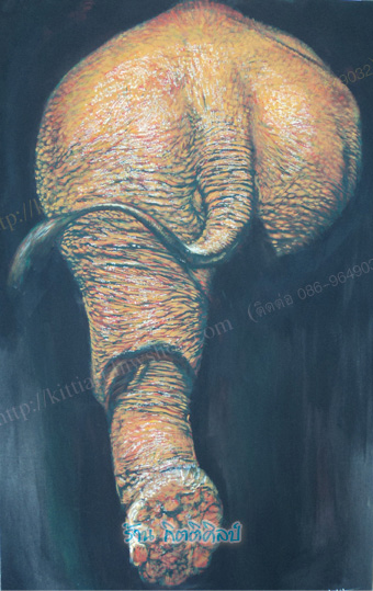 ช้าง Elephant