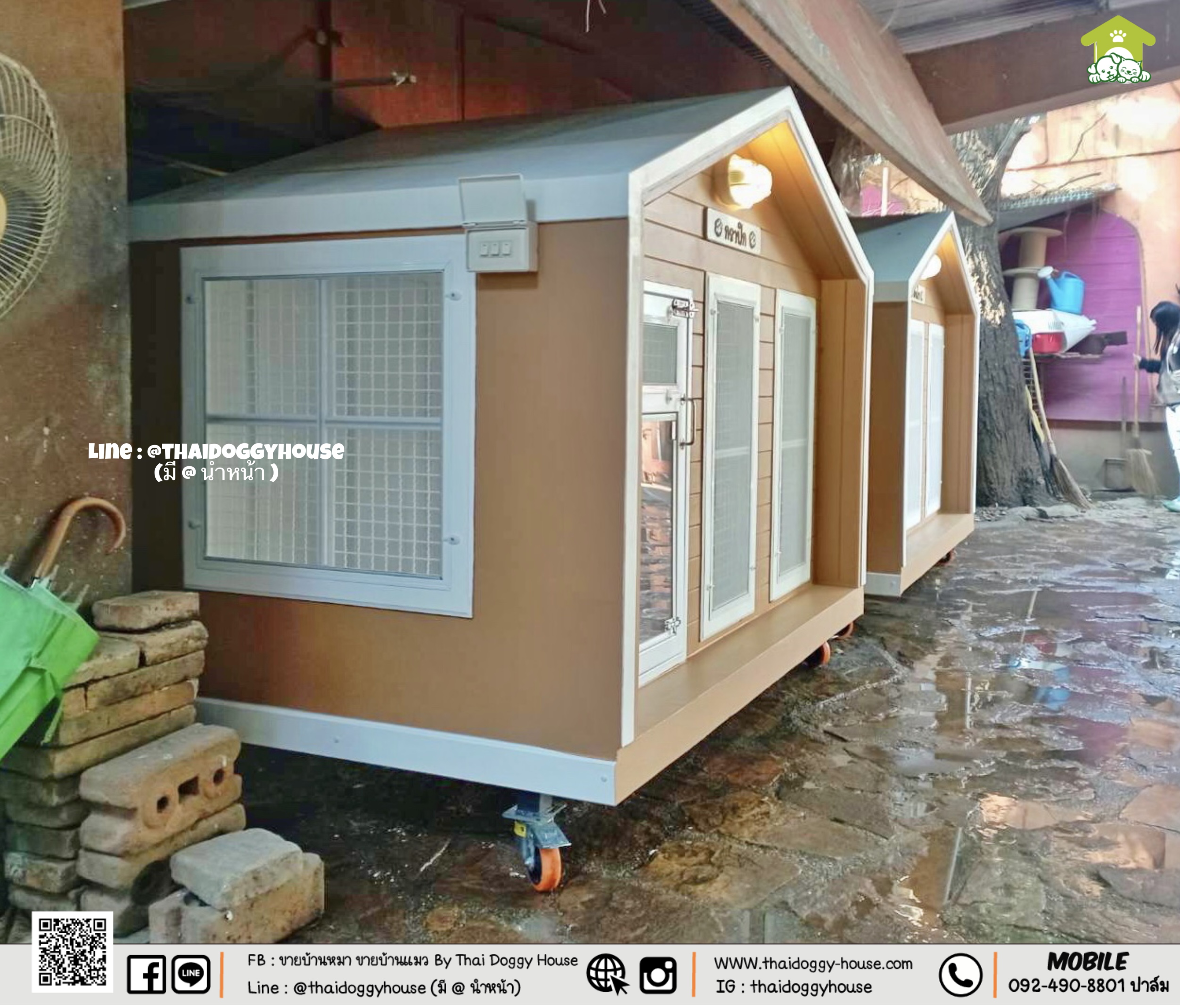 🏡🐶🐱 บ้านหมา บ้านแมว 𝗧𝗵𝗮𝗶 𝗱𝗼𝗴𝗴𝘆 𝗵𝗼𝘂𝘀𝗲