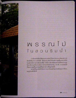 สวนริมน้ำ คู่มือการจัดและตกแต่ง สวนในบ้าน เล่ม 20 010380