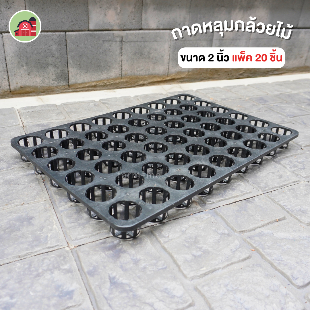 ถาดหลุมกล้วยไม้ ขนาด 2 นิ้ว แพ็ค20ชิ้น