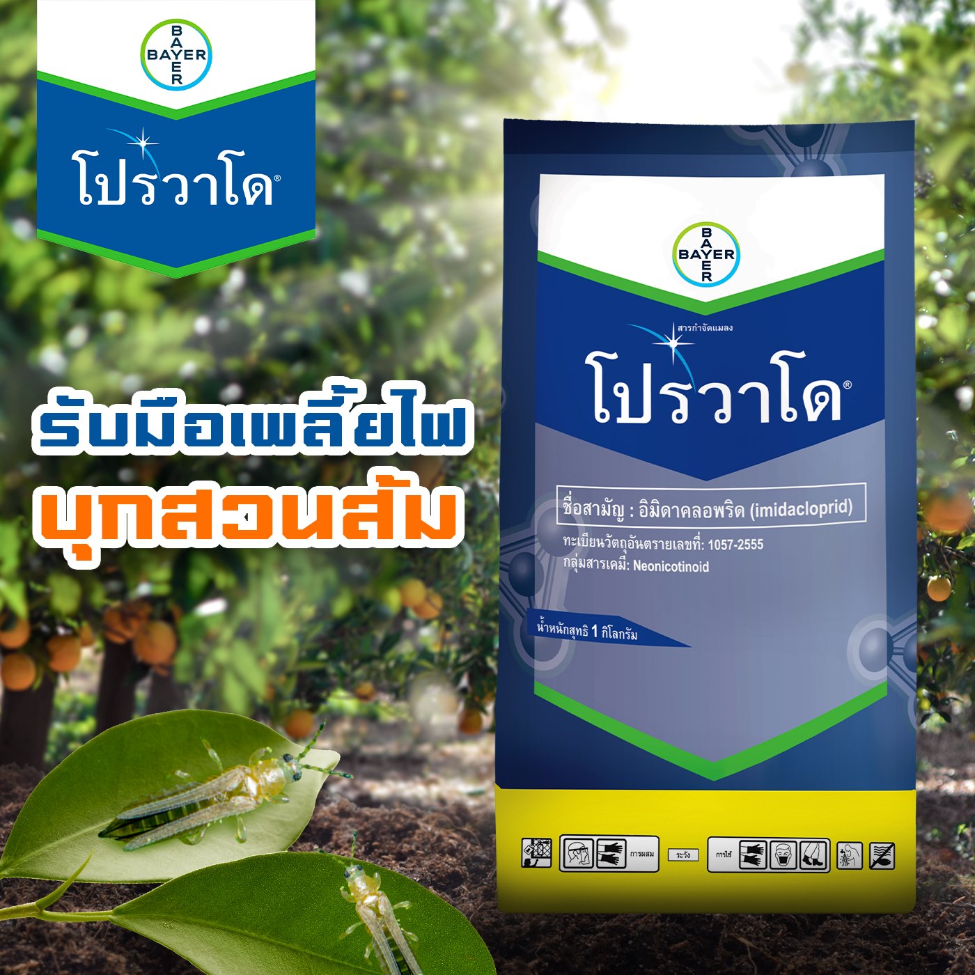 โปรวาโด 10g. อิมิดาโคลพริด สารกำจัดแมลง กำจัดเพลี้ยไฟ เพลี้ยอ่อน เพลี้ยแป้ง เพลี้ยกระโดด แมลงหวี่ขาว หนอนชอนใบ ดูดซึม