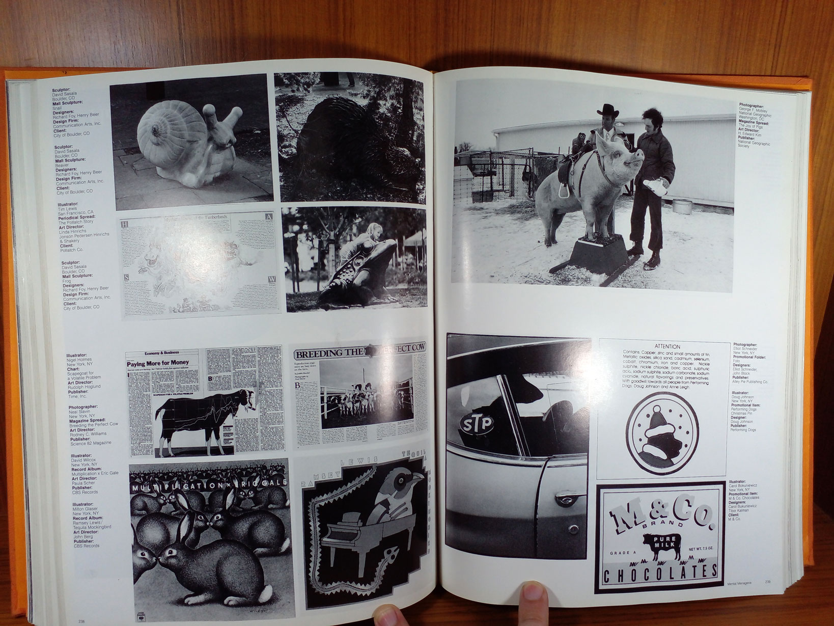 Aiga Graphic Design USA:4