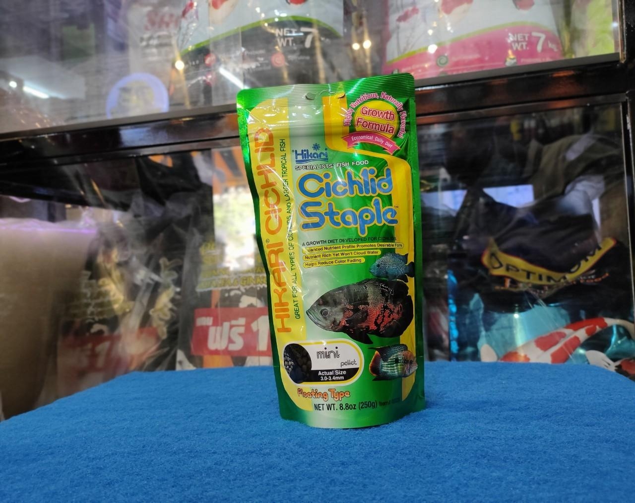 Hikari Cichlid staple 250g ไซต์ 3.0-3.4mm อาหารปลาฮิคาริ อาหารปลาหมอสี ปลาหมอ