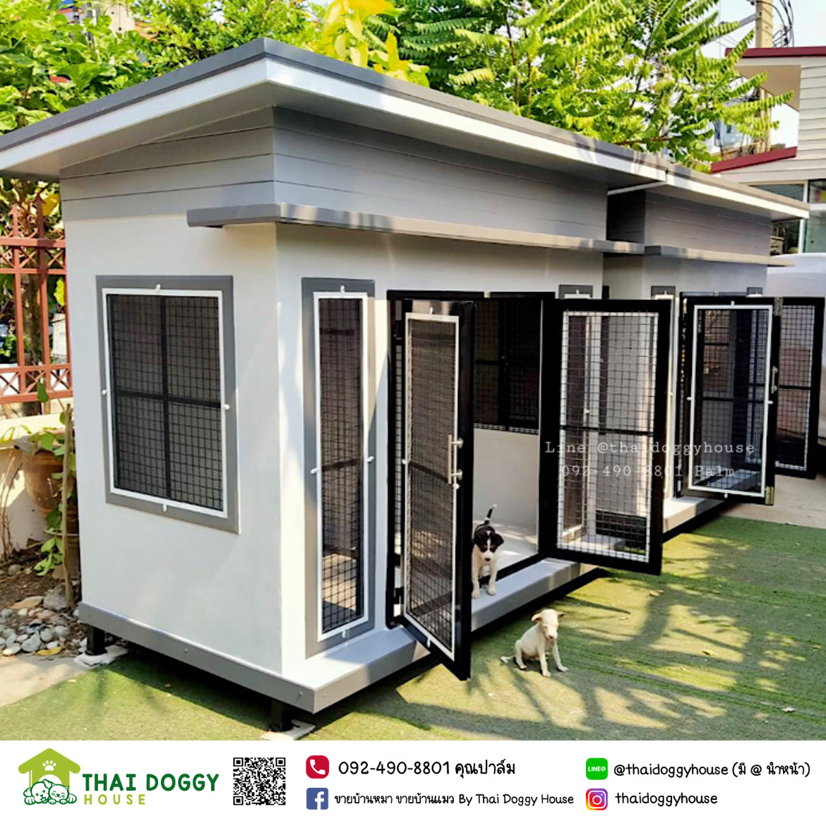 บ้านหมา บ้านแมว ดีไซน์ทันสมัย ติดตั้งชั้นของเล่นน้องแมวเพิ่มได้อีก 😽🐈