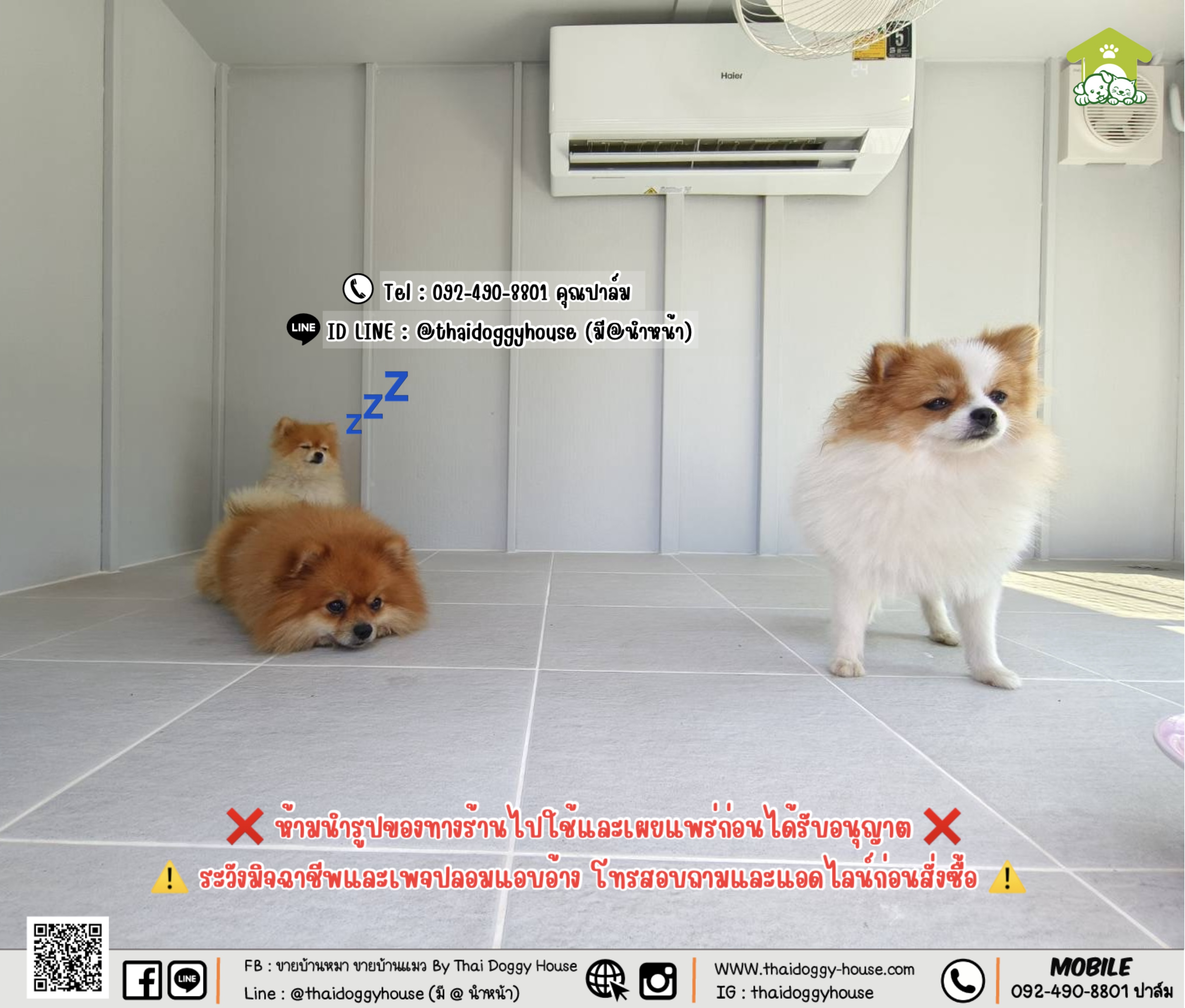 บ้านหมา บ้านแมว 𝐓𝐡𝐚𝐢 𝐝𝐨𝐠𝐠𝐲 𝐡𝐨𝐮𝐬𝗲 รวมแอร์+อุปกรณ์ไฟฟ้าครบชุด