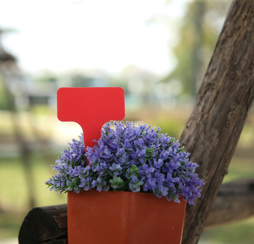 ป้ายชื่อปักตัว T สีสรร
