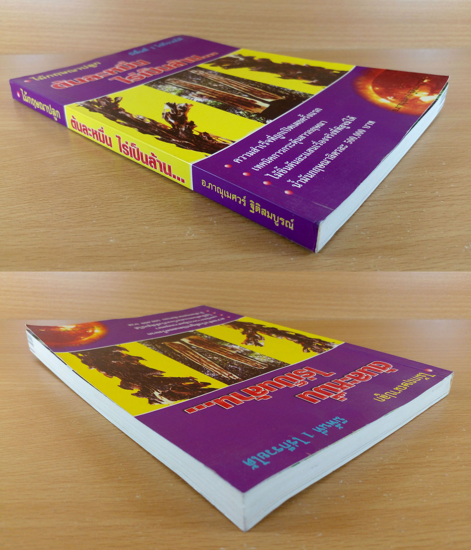 ไม้กฤษณาปลูก ต้นละหมื่น ไร่เป็นล้าน