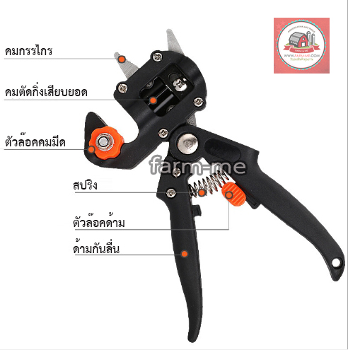 กรรไกรตอนกิ่งเสียบยอด