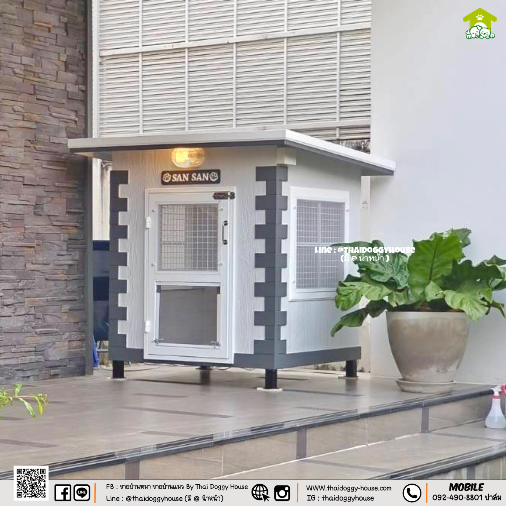 🐶🐱 บ้านหมา บ้านแมว 𝐓𝐡𝐚𝐢 𝐝𝐨𝐠𝐠𝐲 𝐡𝐨𝐮𝐬𝐞 แบบบ้าน " 𝐁𝐎𝐗 𝐒𝐓𝐘𝐋𝐄