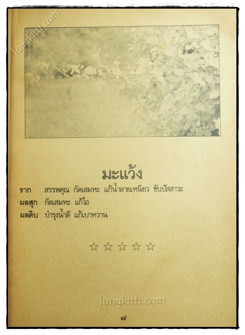 สารพัดยาไทยสมุนไพรที่ช่วยให้อายุยืน 023342