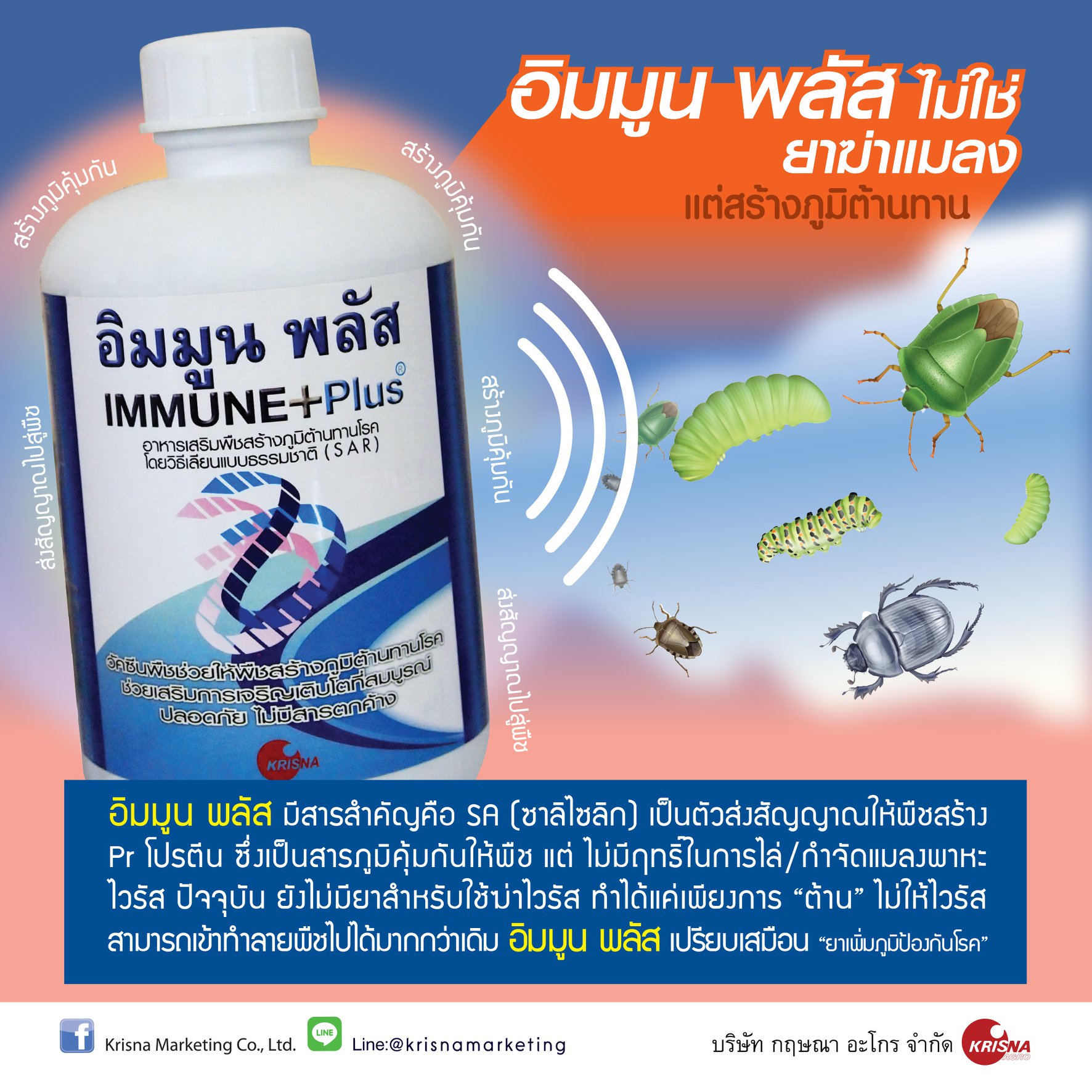 อิมมูนพลัส 1L. วัคซีนพืช ป้องกันและรักษาโรคพืช เชื้อรา แบคทีเรีย ไวรัส โรคพืช