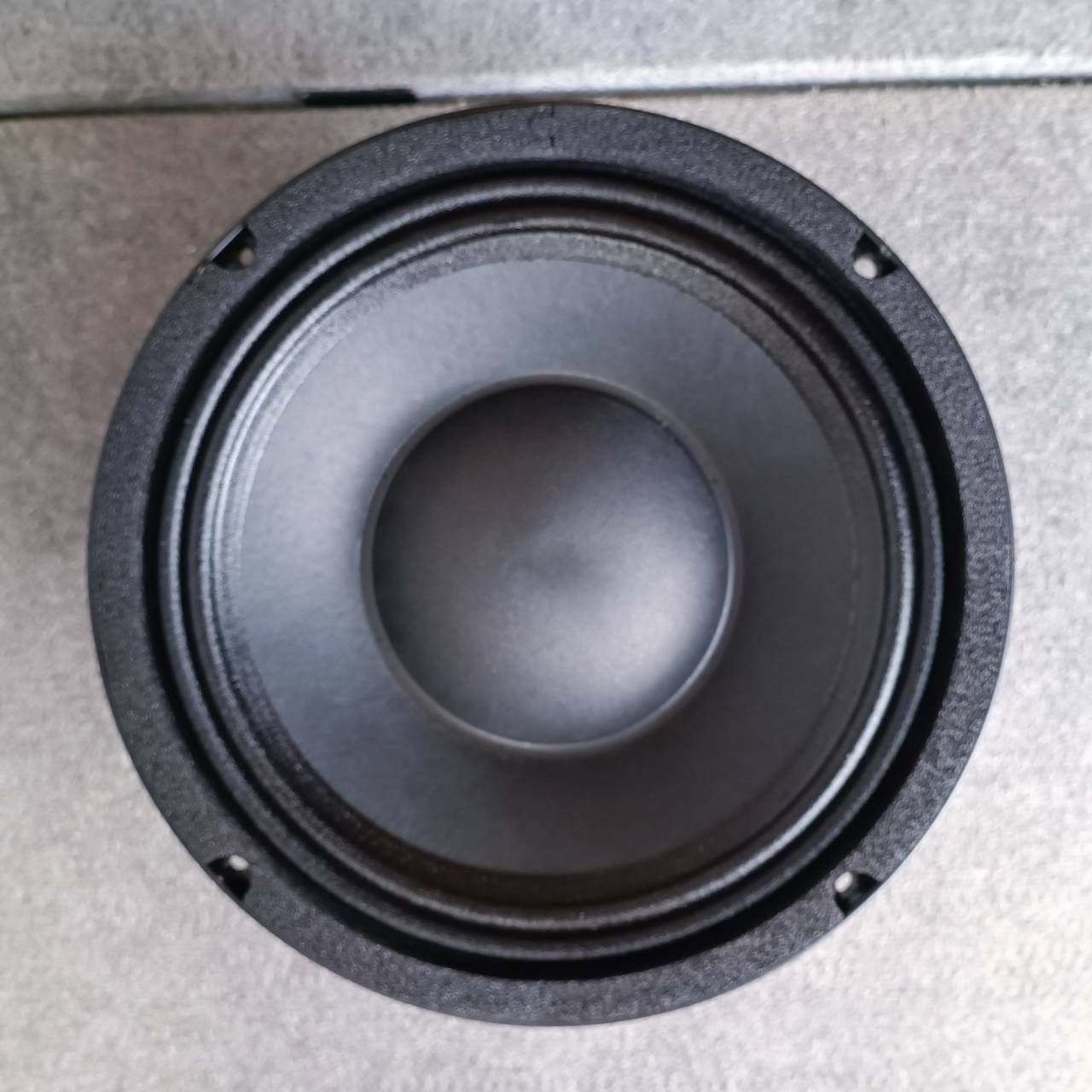 KANE 10AB1000 ลำโพง10นิ้ว ดอกลำโพง 10" 10AB-1000 KA NE คาเน่ 10AB 1000 เอไอ-ไพศาล