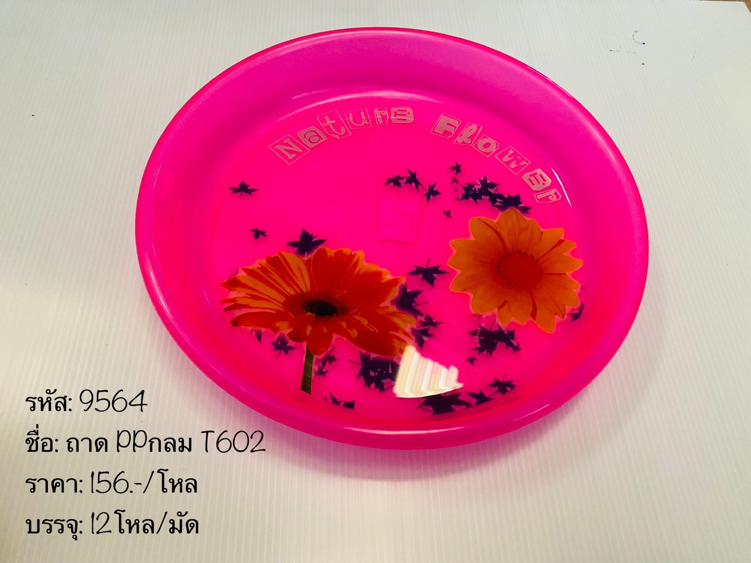 ถาด PPกลม T602 (ราคาต่อโหล)