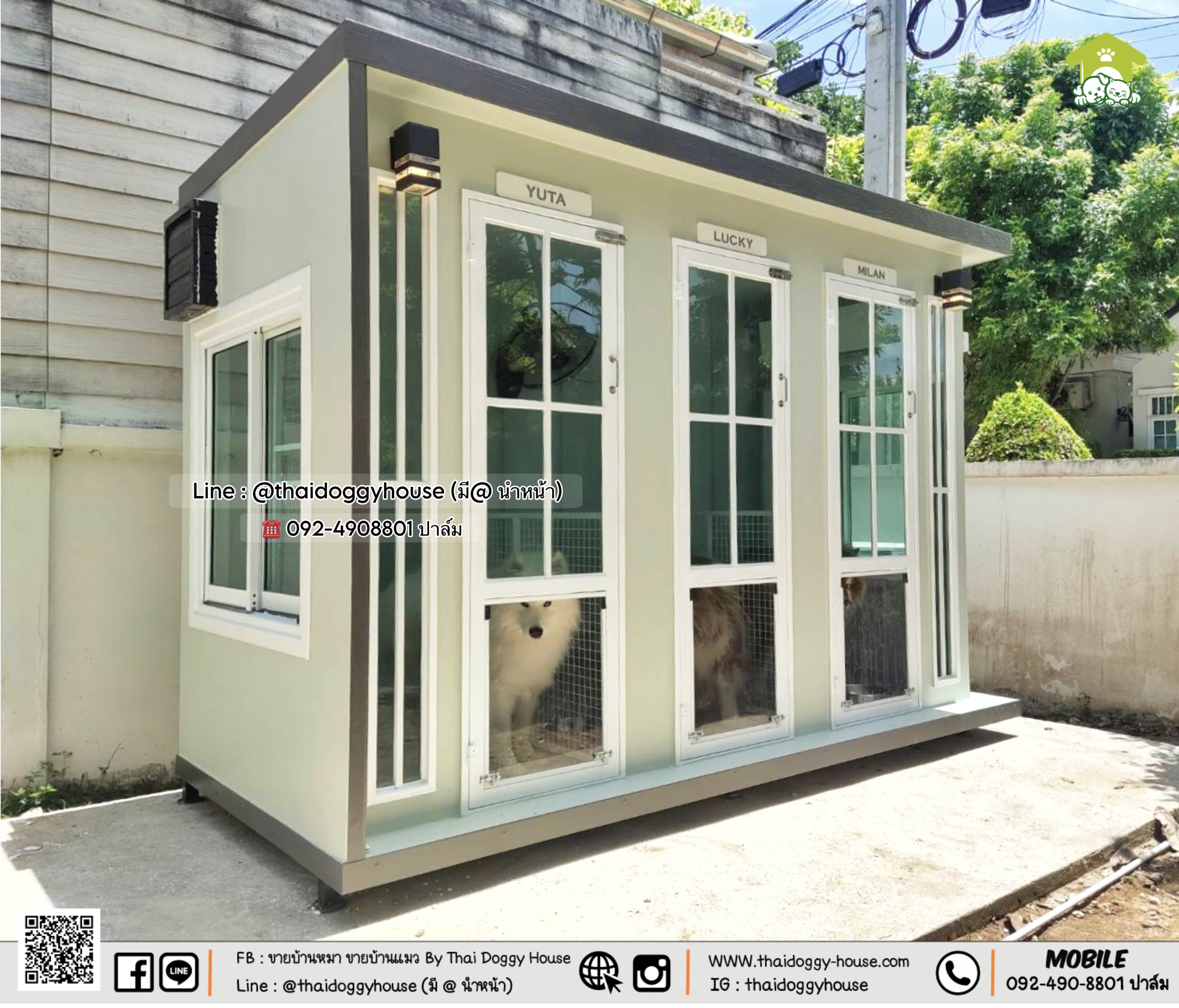 🏡 บ้านหมา บ้านแมว " 𝐁𝐎𝐗 𝐒𝐓𝐘𝐋𝐄 𝐁𝐘 𝐓𝐇𝐀𝐈 𝐃𝐎𝐆𝐆𝐘 𝐇𝐎𝐔𝐒𝐄