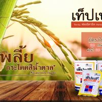 เท็ปเปกิ 50g.1 กล่อง มี 5 ซอง ฟลอนิคามิด สารกำจัดแมลง เพลี้ยกระโดด เพลี้ยจักจั่น