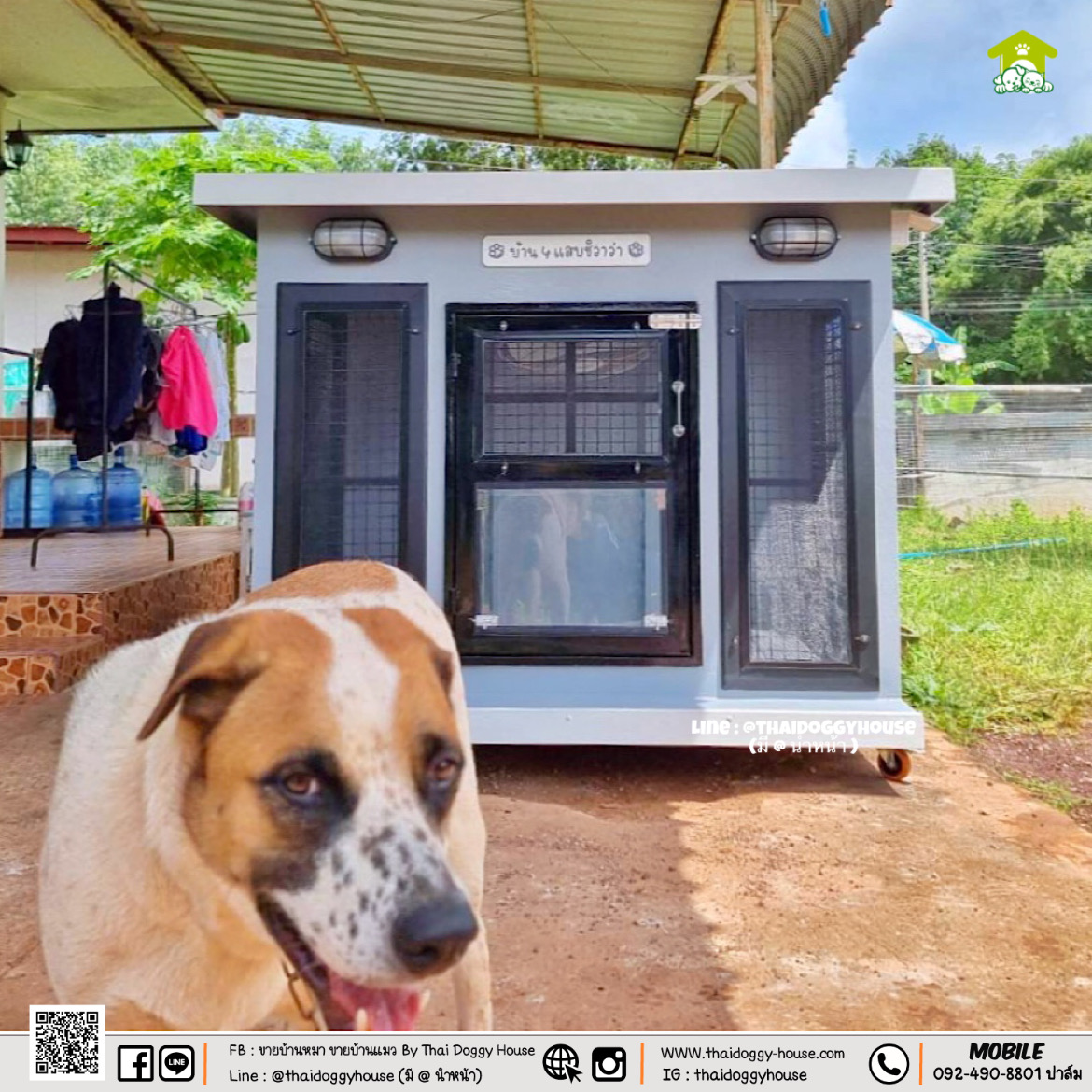 บ้านหมา บ้านแมว " 𝐁𝐎𝐗 𝐒𝐓𝐘𝐋𝐄 𝐁𝐘 𝐓𝐇𝐀𝐈 𝐃𝐎𝐆𝐆𝐘 𝐇𝐎𝐔𝐒𝐄 " &#x