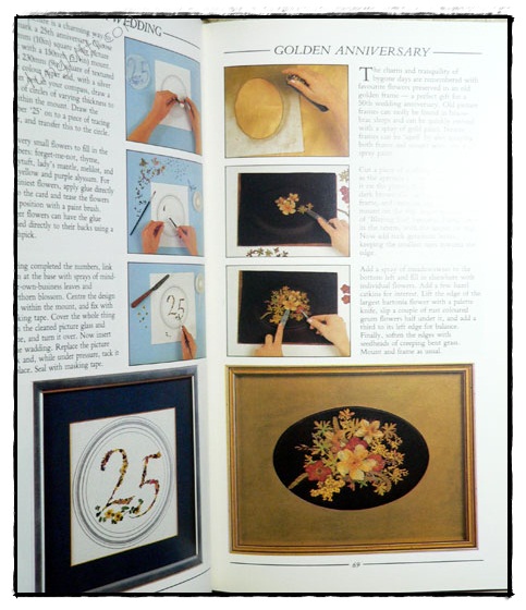 THE CREATIVE BOOK OFPRESSED FLOWERS 023860