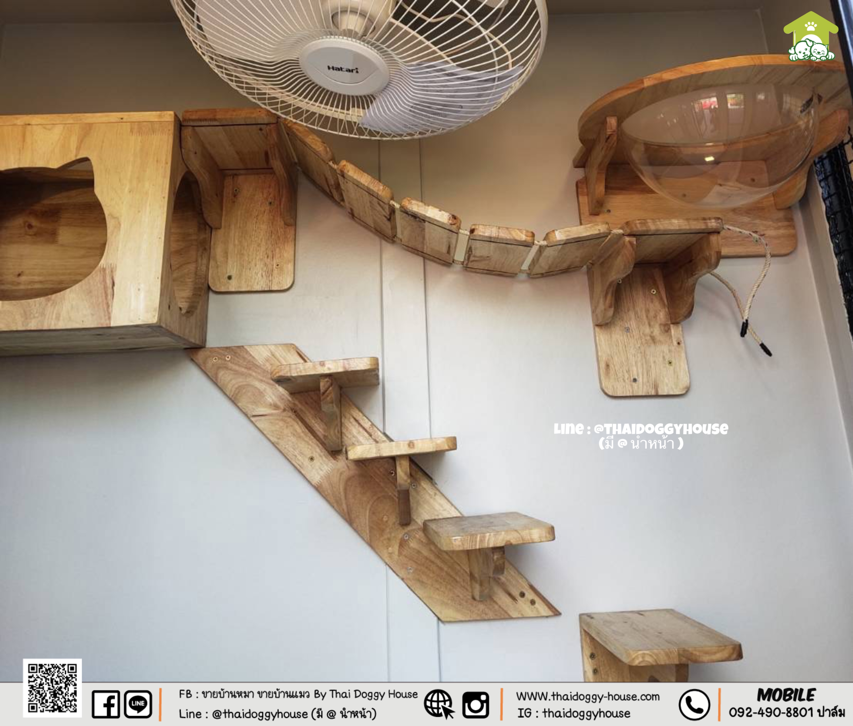 บ้านหมา บ้านแมว " 𝐁𝐎𝐗 𝐒𝐓𝐘𝐋𝐄 𝐁𝐘 𝐓𝐇𝐀𝐈 𝐃𝐎𝐆𝐆𝐘 𝐇𝐎𝐔𝐒𝐄 "