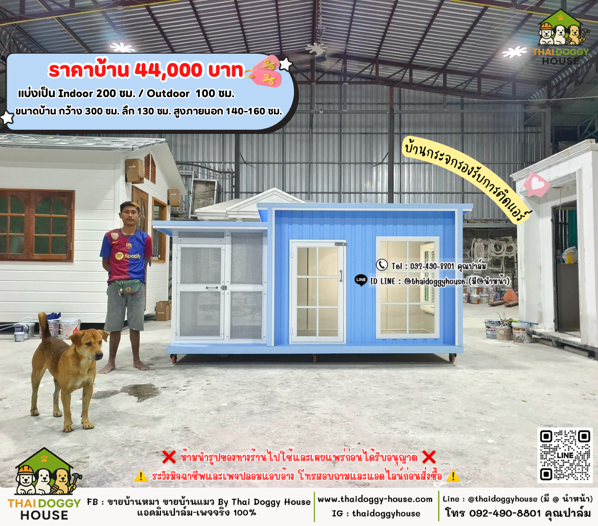บ้านหมา บ้านแมว 𝐓𝐡𝐚𝐢 𝐝𝐨𝐠𝐠𝐲 𝐡𝐨𝐮𝐬𝗲