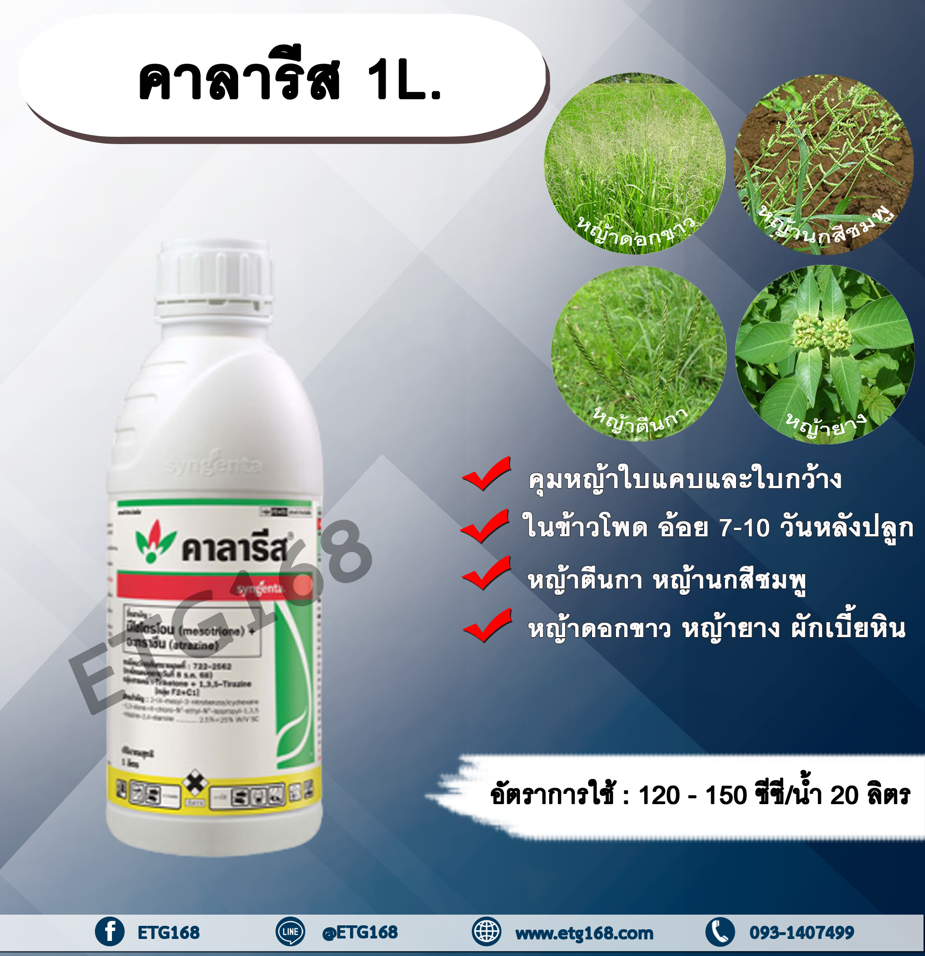 คาลารีส 1L. มีโซไตรโอน + อะทราซีน สารคุมวัชพืช สารกำจัดวัชพืช ใบแคบ ใบกว้าง หญ้าตีนกา หญ้านกสีชมพู