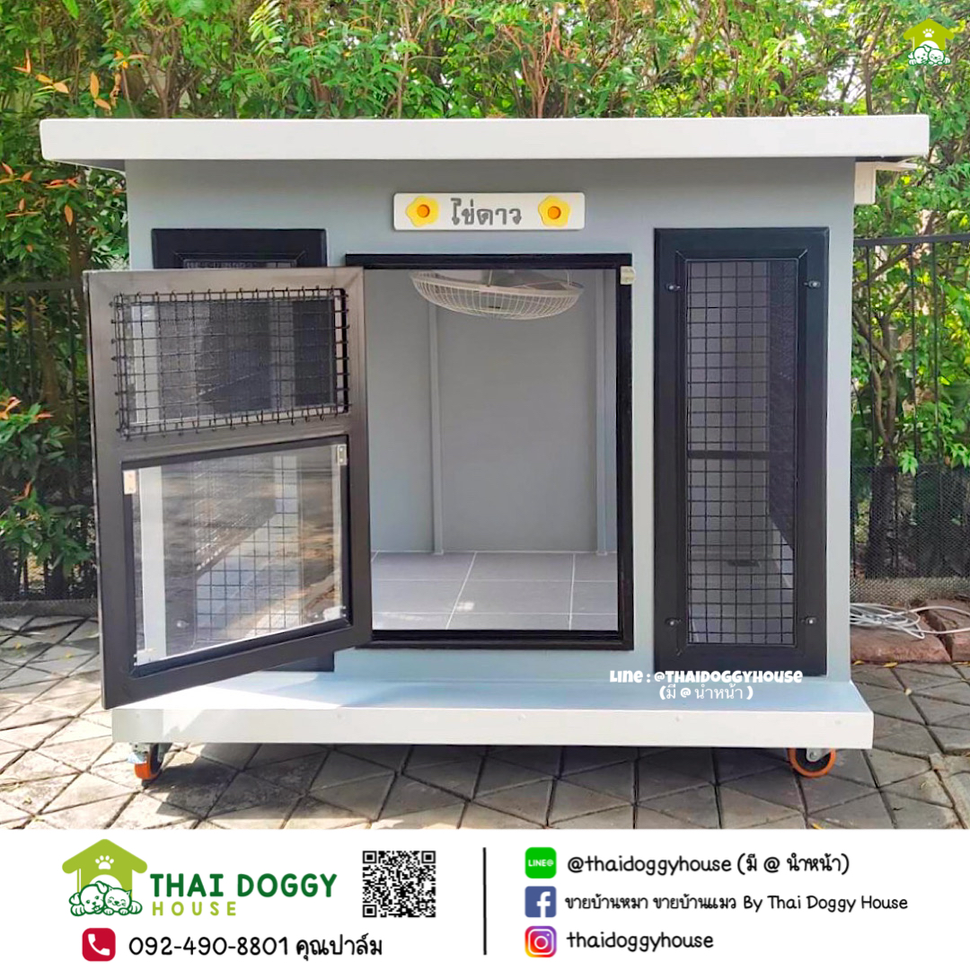 บ้านหมา บ้านแมว " 𝐁𝐎𝐗 𝐒𝐓𝐘𝐋𝐄 𝐁𝐘 𝐓𝐇𝐀𝐈 𝐃𝐎𝐆𝐆𝐘 𝐇𝐎𝐔𝐒𝐄 "