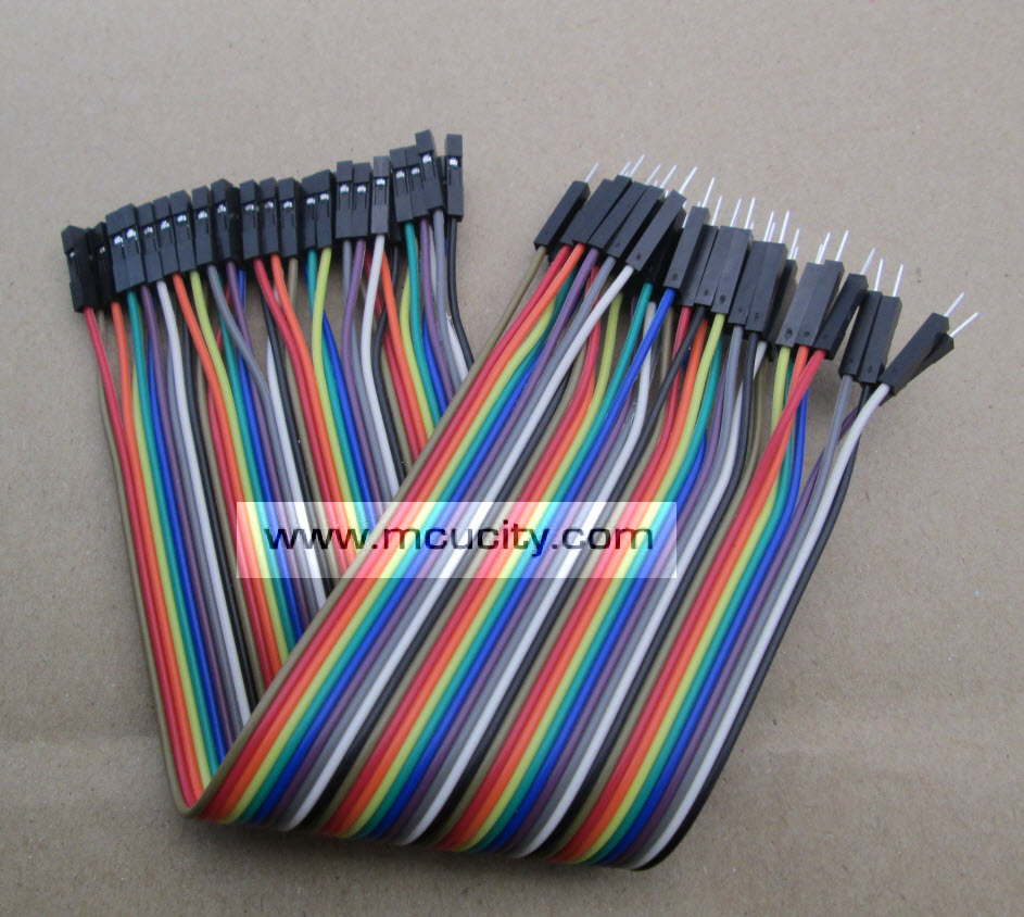 สายแพ (2.54mm) 40 pin to 40 pin (Female-Male) 20 cm