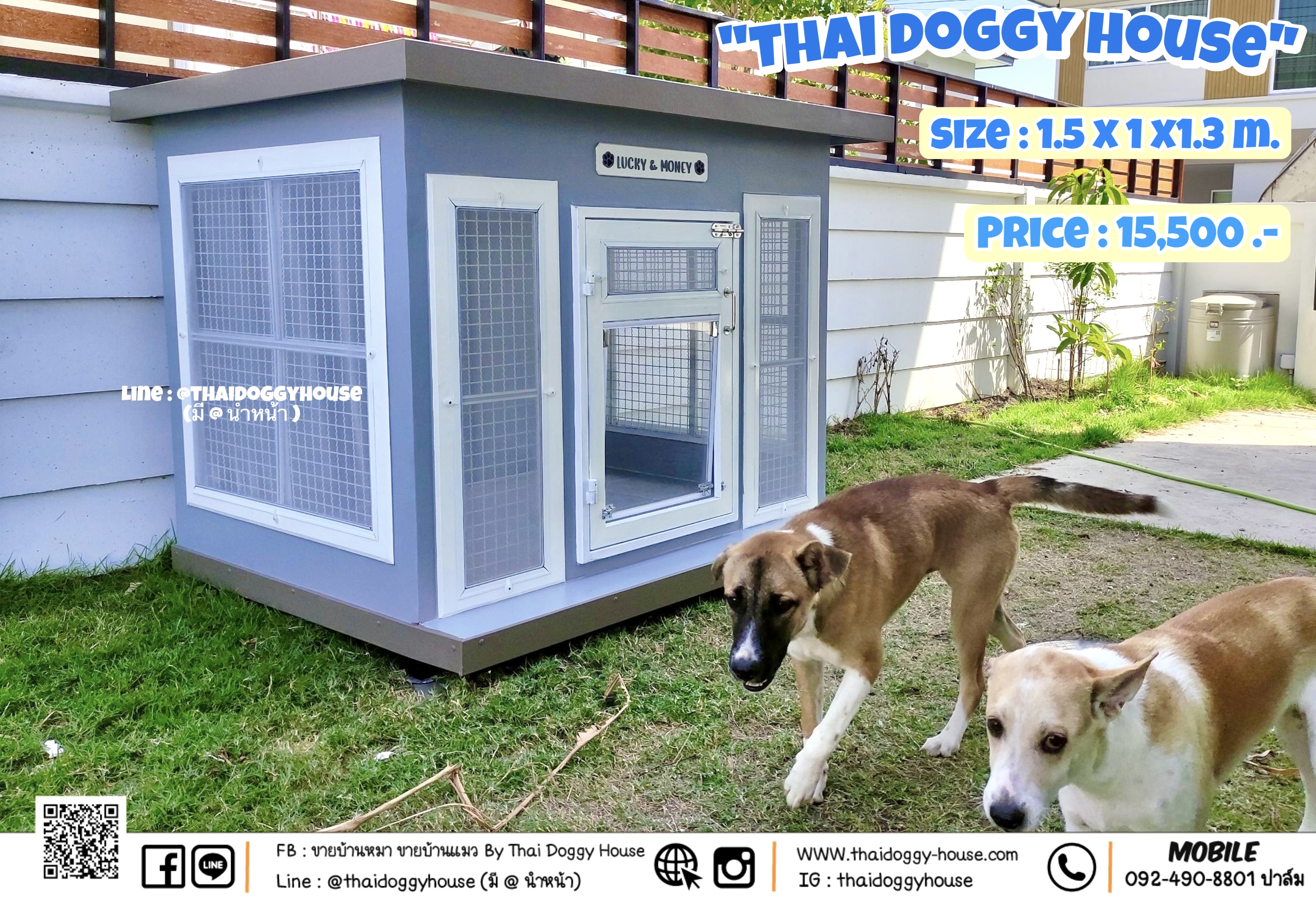 บ้านหมา บ้านแมว Box Style ราคาถูก