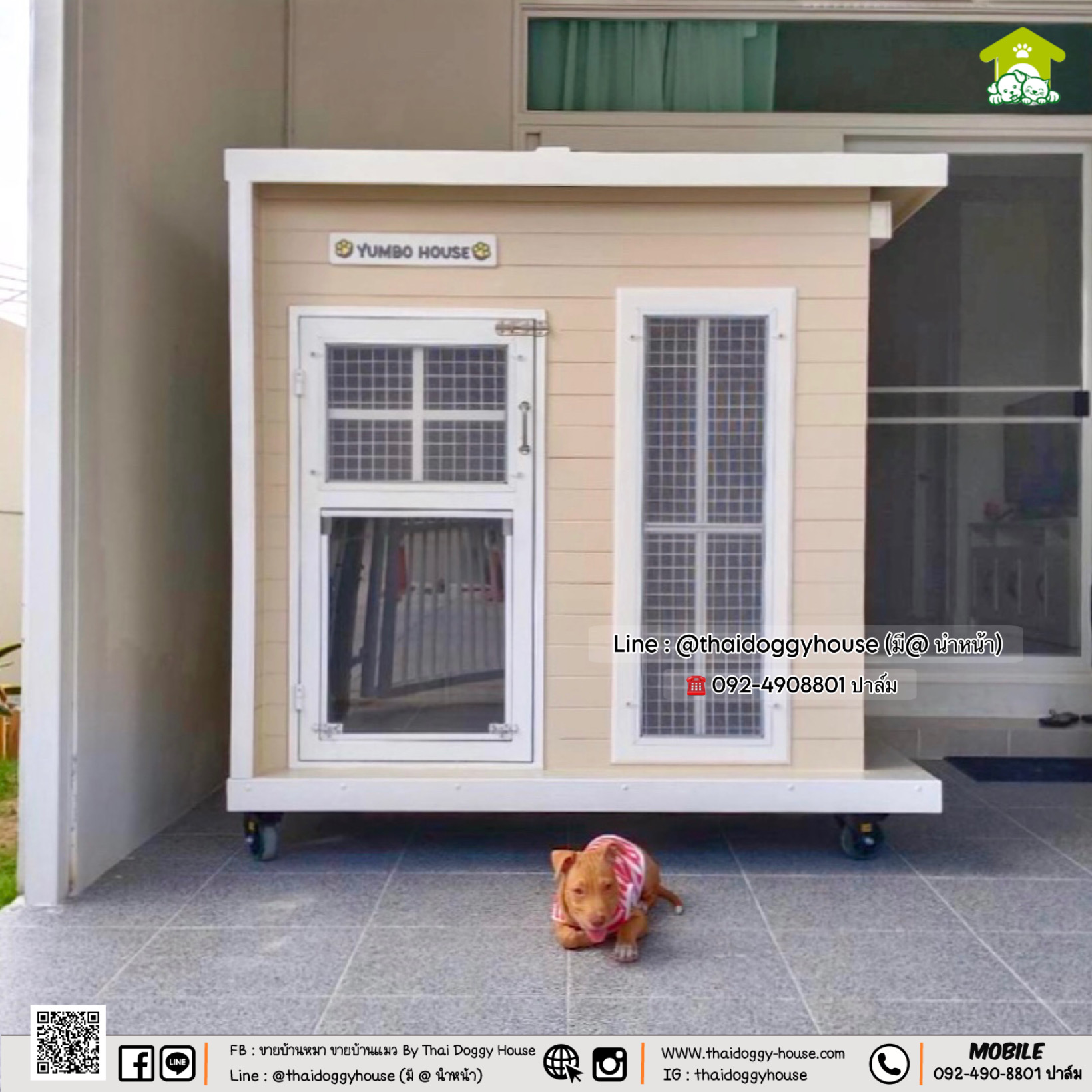 บ้านหมา บ้านแมว 𝐓𝐡𝐚𝐢 𝐝𝐨𝐠𝐠𝐲 𝐡𝐨𝐮𝐬𝐞 🐩🐕🐾 แบบบ้าน 𝐁𝐎𝐗 𝐒𝐓𝐘𝐋𝐄