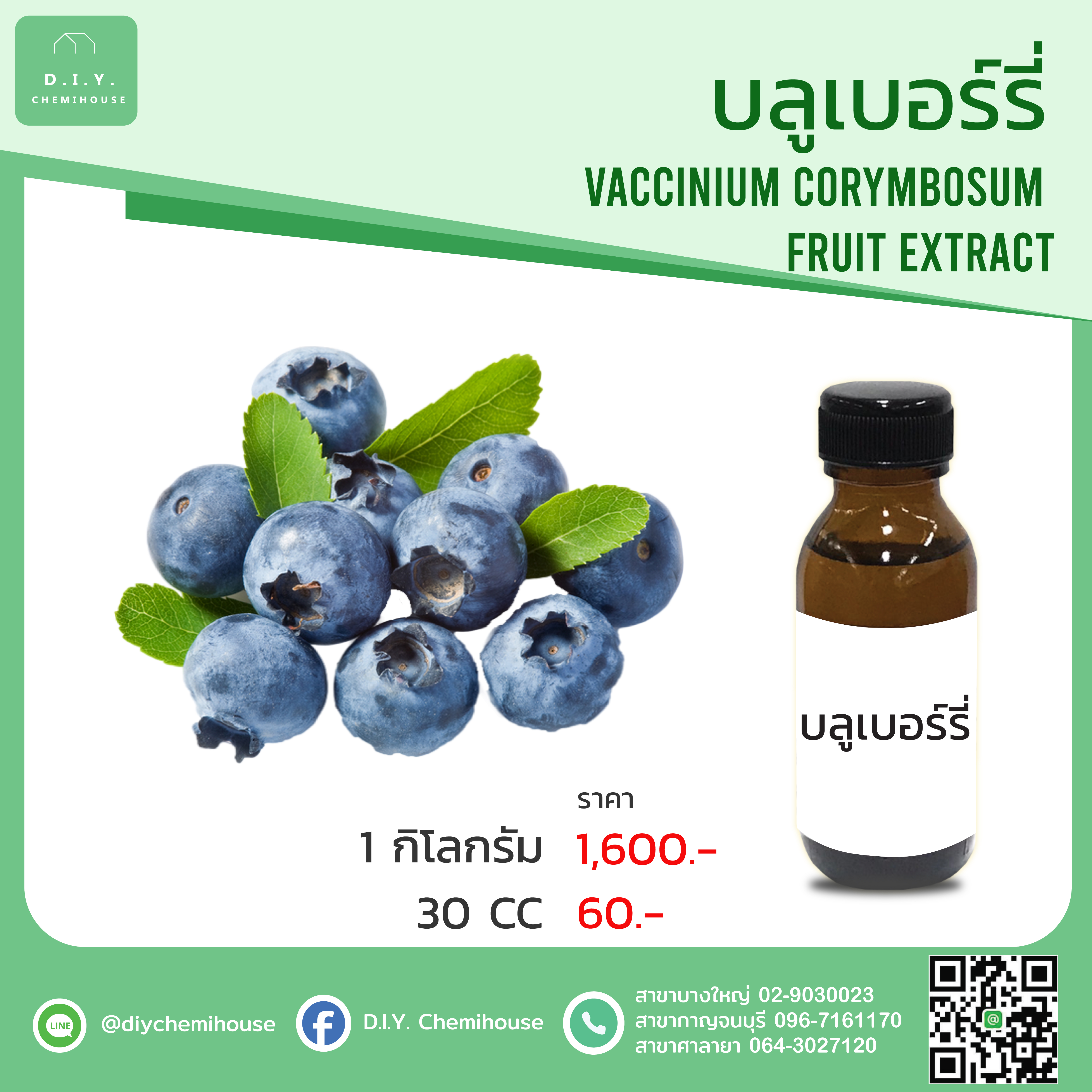 สารสกัลบลูเบอร์รี่
