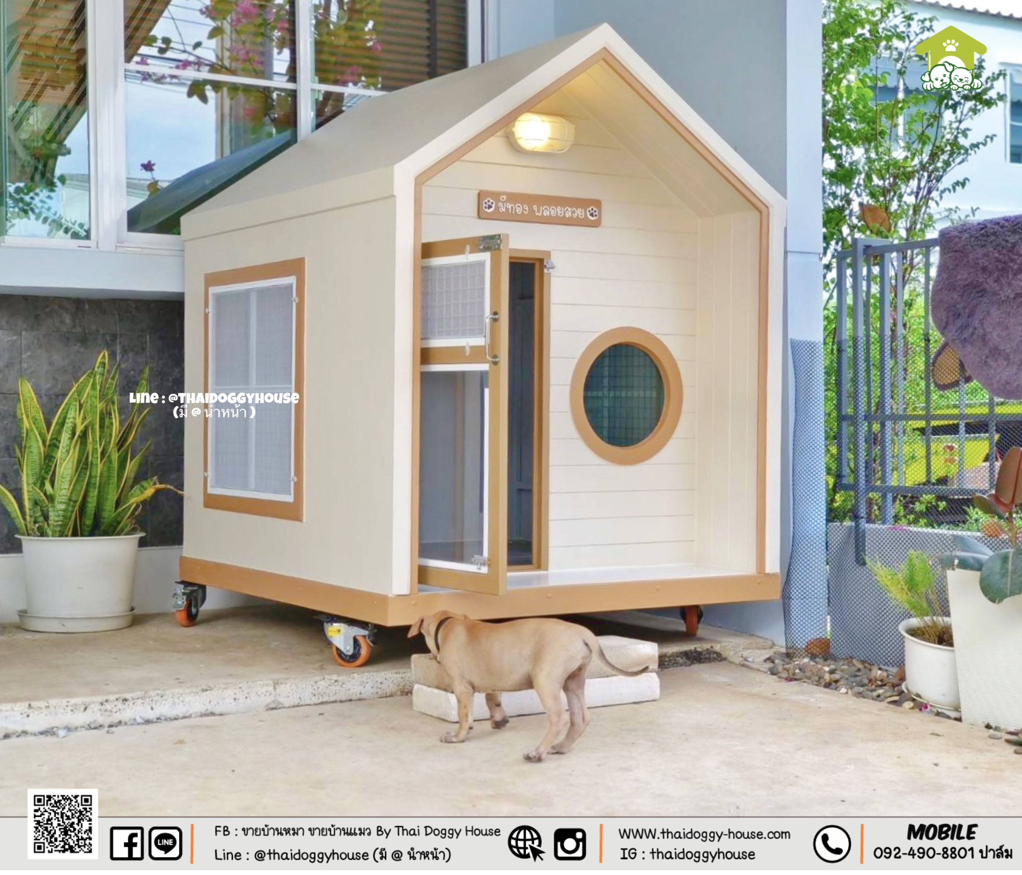 🏡 💛💛 𝐌𝐔𝐉𝐈 𝐒𝐓𝐘𝐋𝐄 💛💛 บ้านหมา บ้านแมว ที่เน้นความเรียบง่าย สบายตา พร้อมกับโทนสีที่ลงตัว ไว้มุมไหนของบ้านก็สวยงาม 🐈🦮